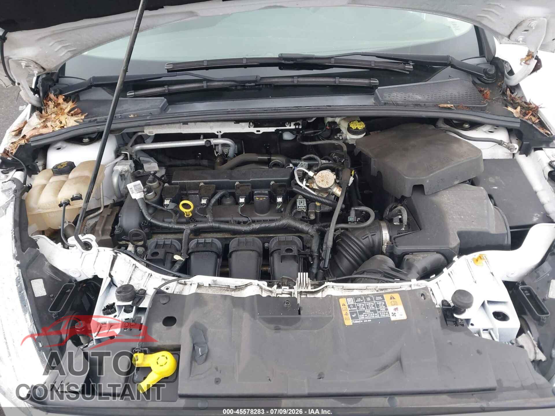 FORD FOCUS 2016 - 1FADP3F24GL381406