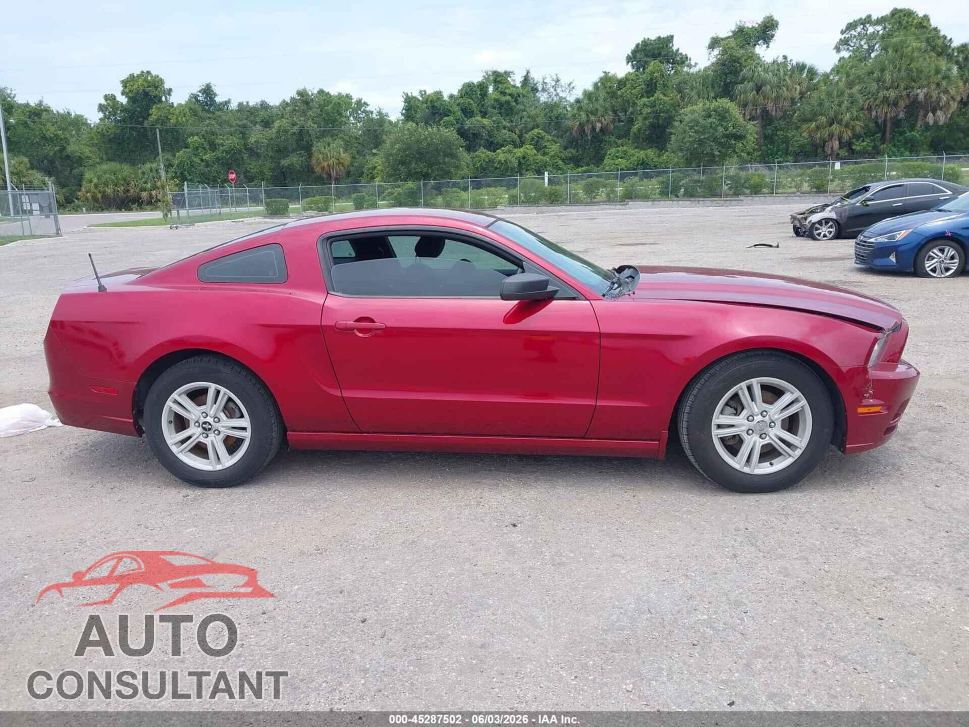 FORD MUSTANG 2014 - 1ZVBP8AM8E5269584