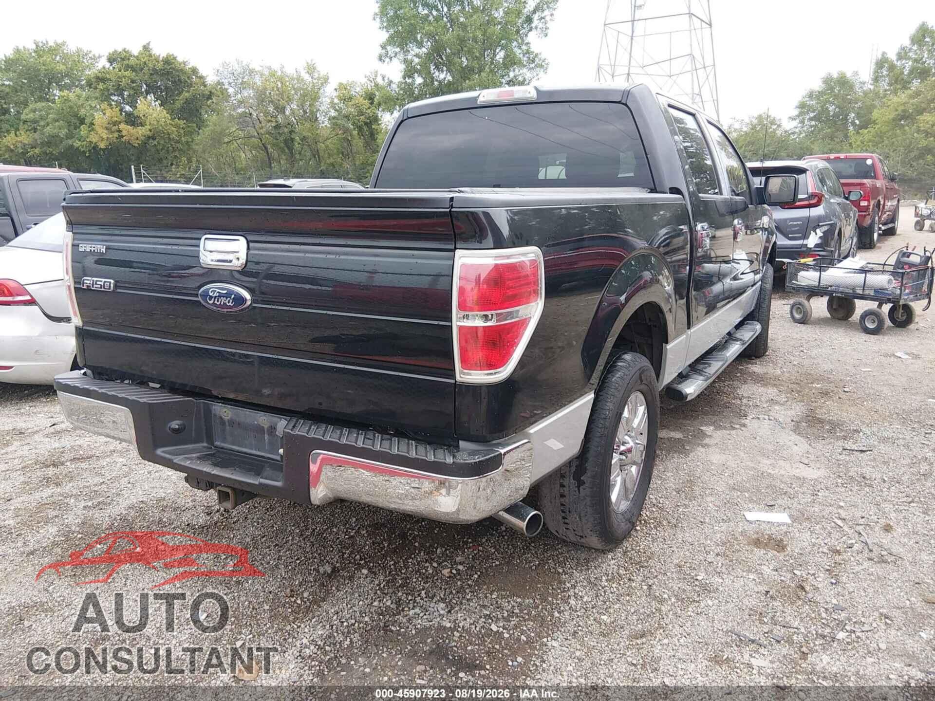 FORD F-150 2010 - 1FTEW1C8XAFA36384