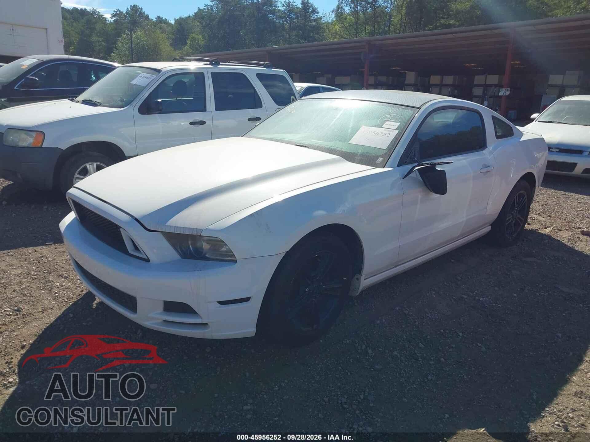 FORD MUSTANG 2013 - 1ZVBP8AMXD5232132