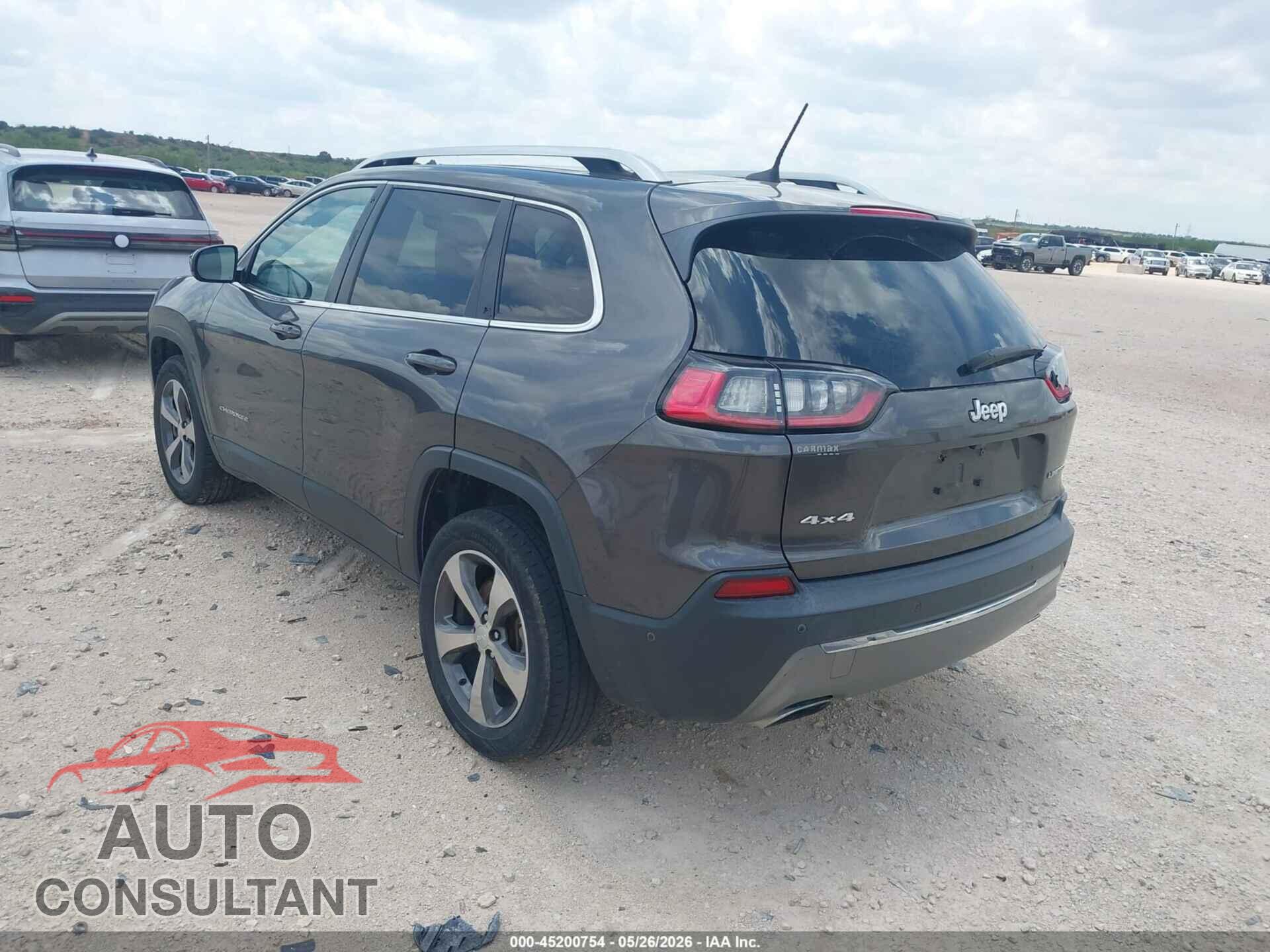 JEEP CHEROKEE 2019 - 1C4PJMDN7KD191582
