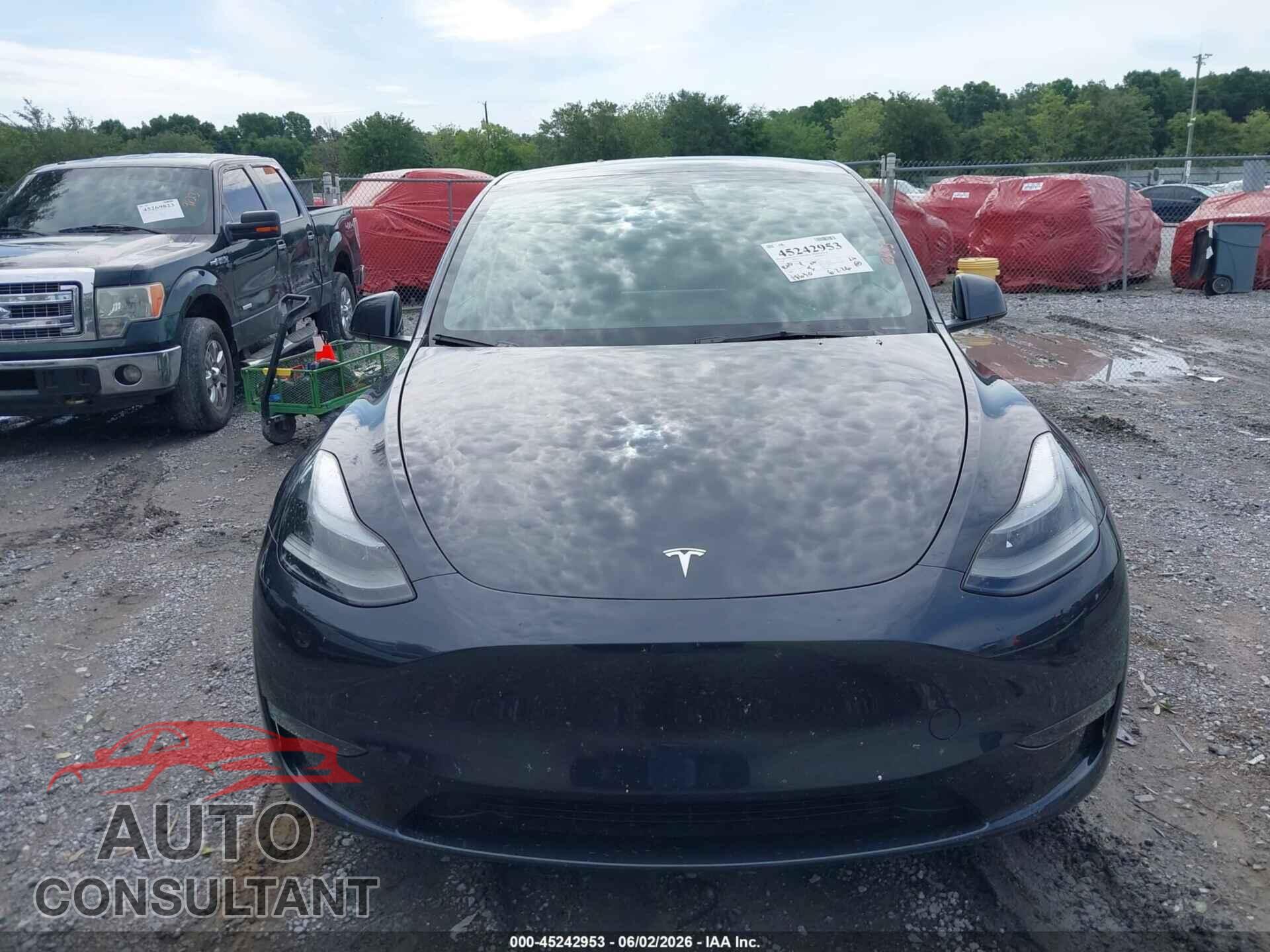 TESLA MODEL Y 2024 - 7SAYGDEE7RF034139