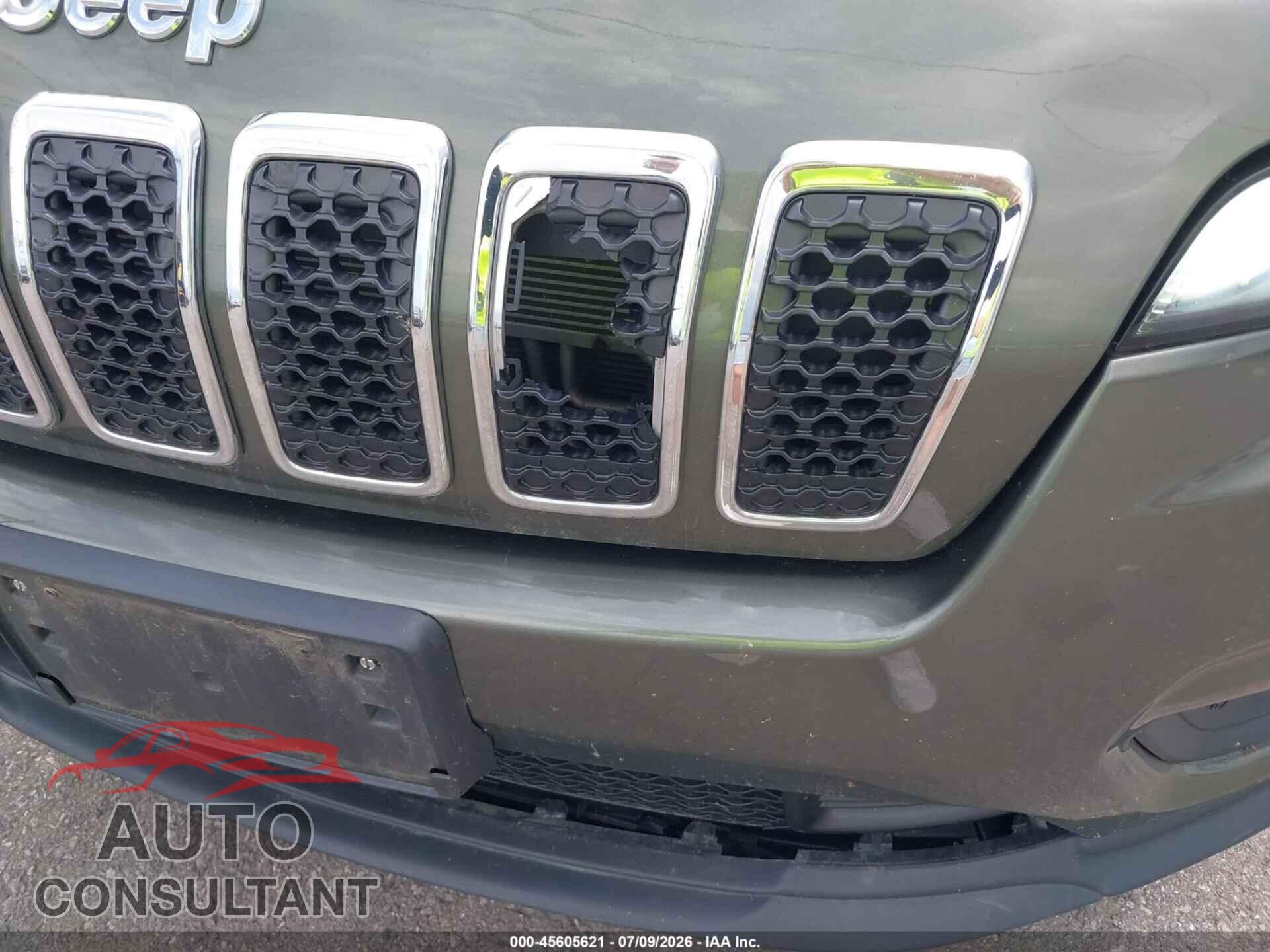 JEEP CHEROKEE 2019 - 1C4PJMCB9KD343630