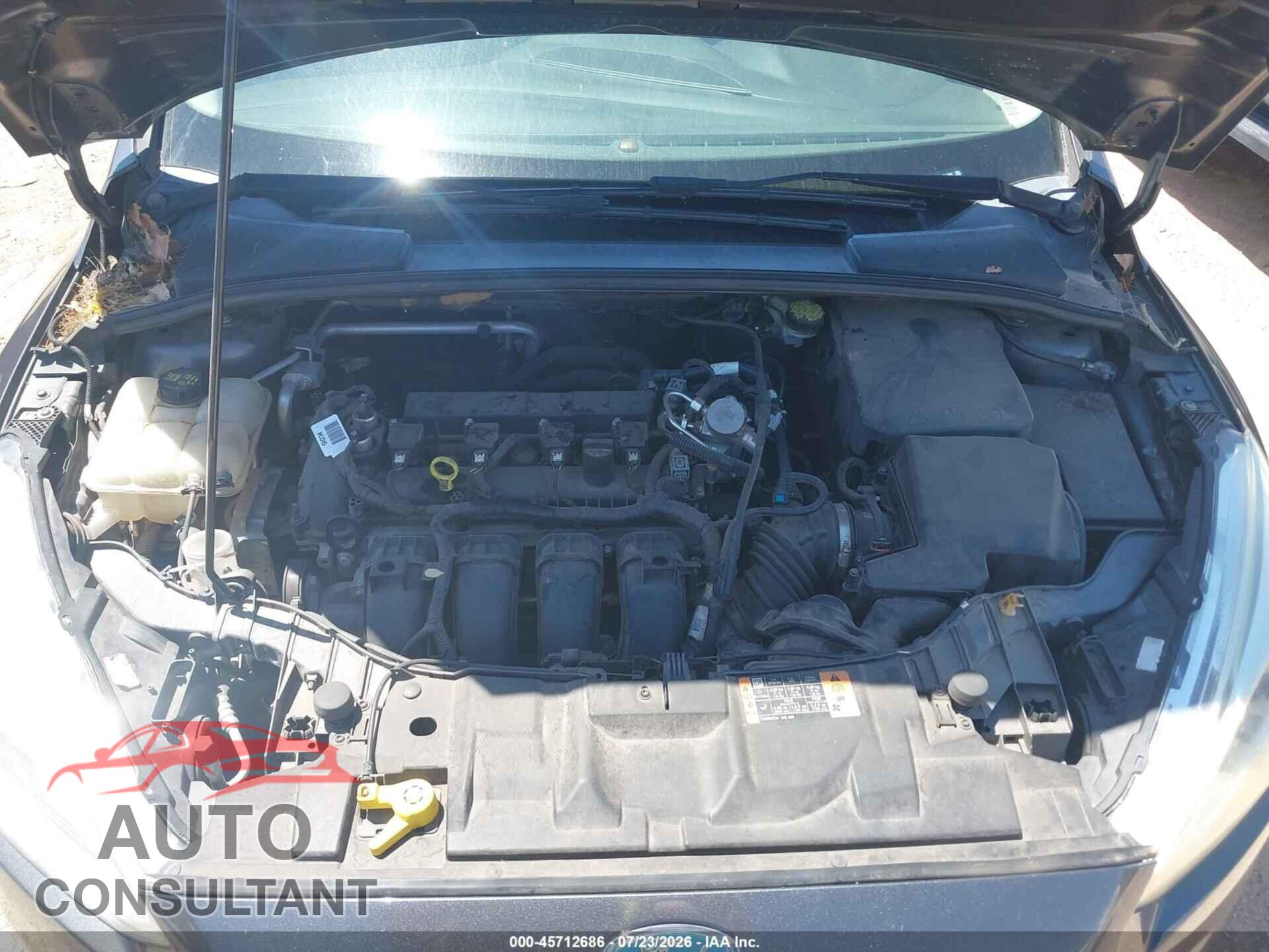 FORD FOCUS 2016 - 1FADP3N26GL407392