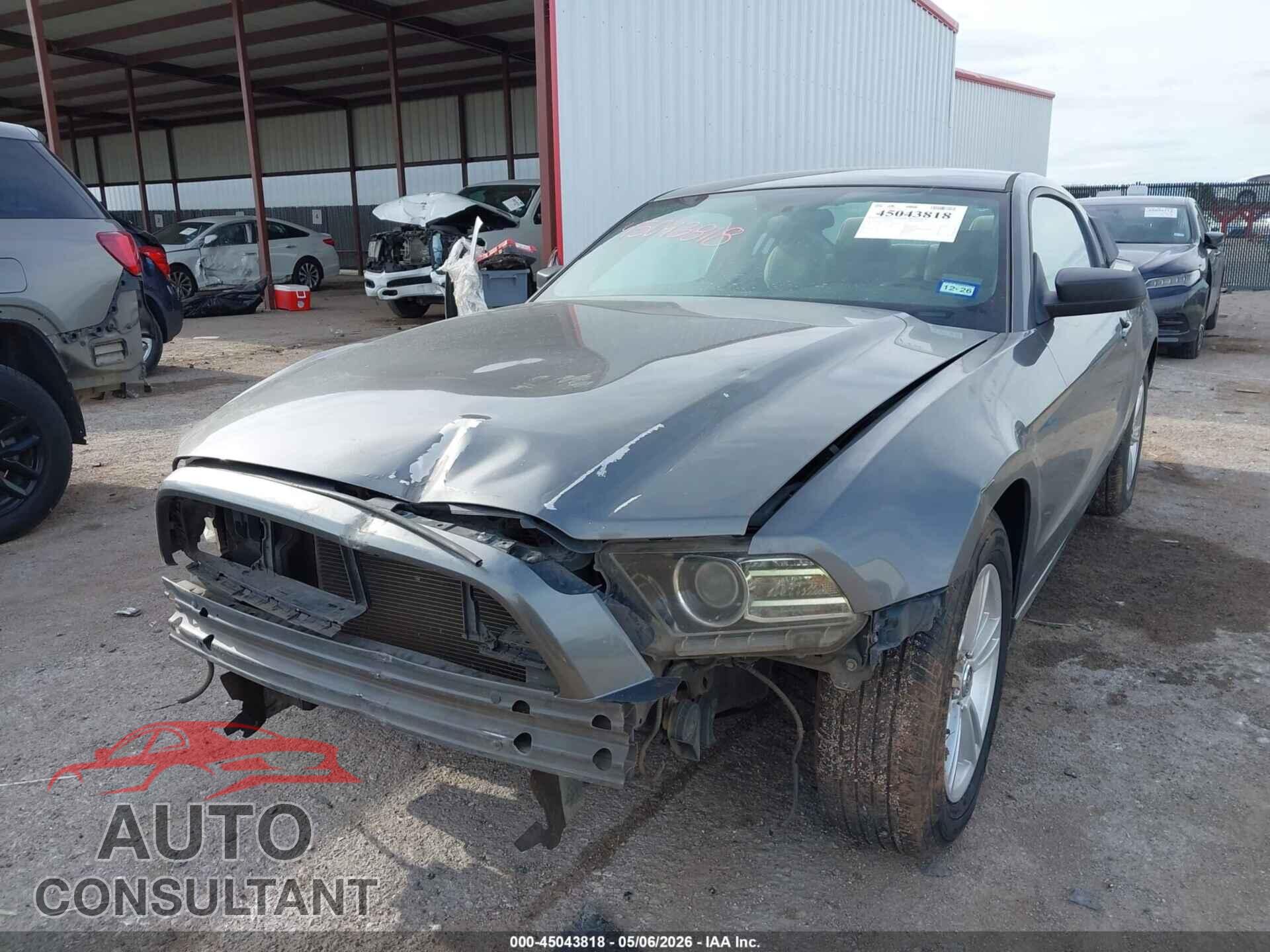 FORD MUSTANG 2013 - 1ZVBP8AM7D5226708