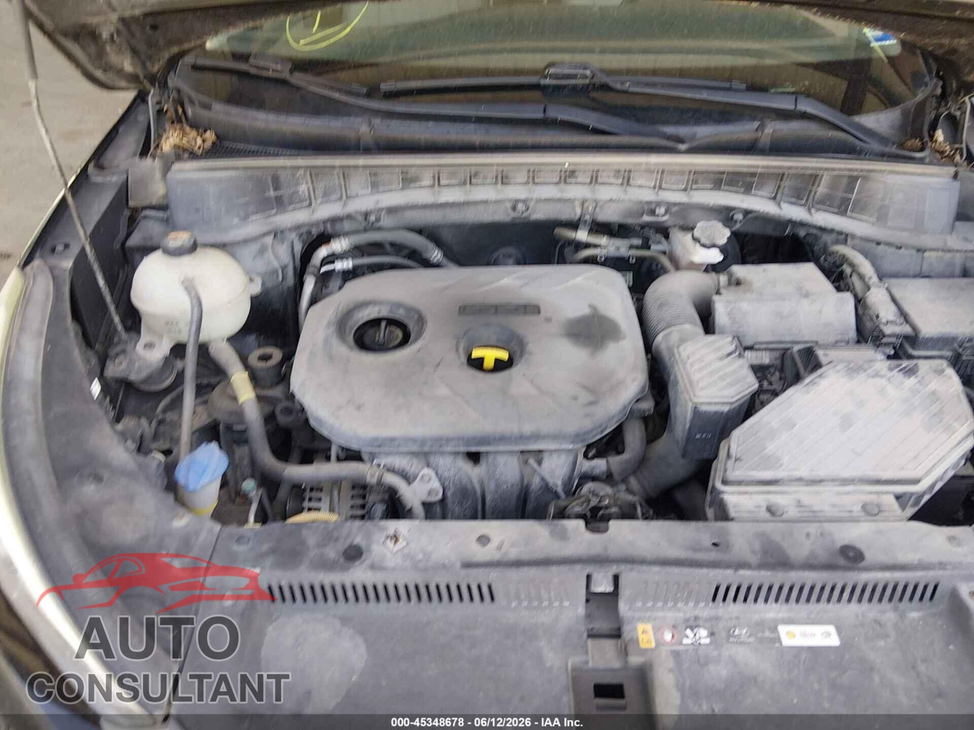 HYUNDAI TUCSON 2017 - KM8J23A47HU565699
