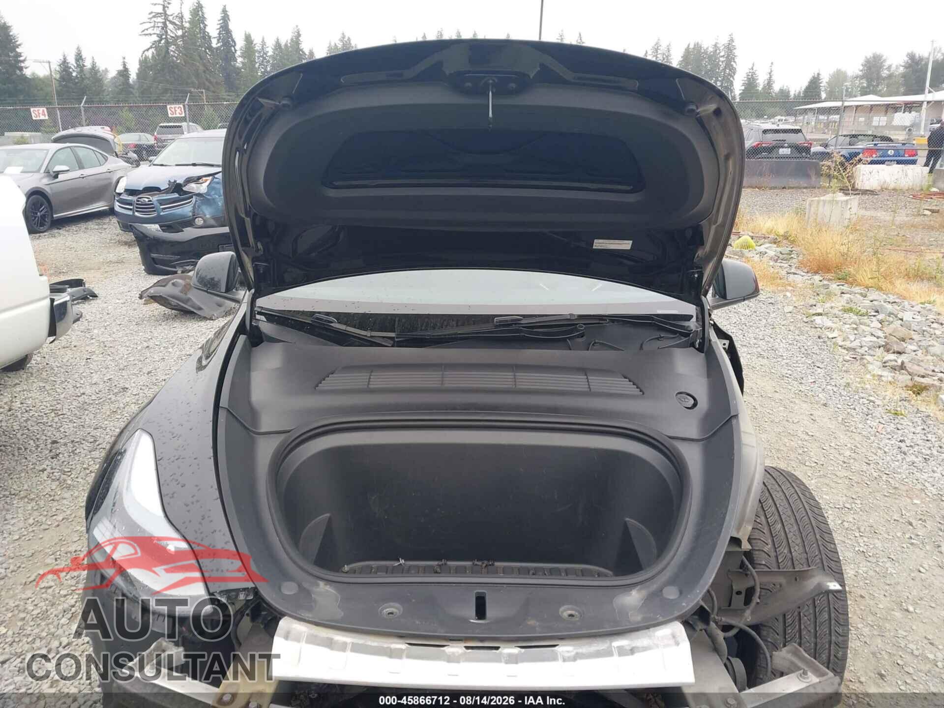 TESLA MODEL Y 2024 - 7SAYGAEE6RF981221