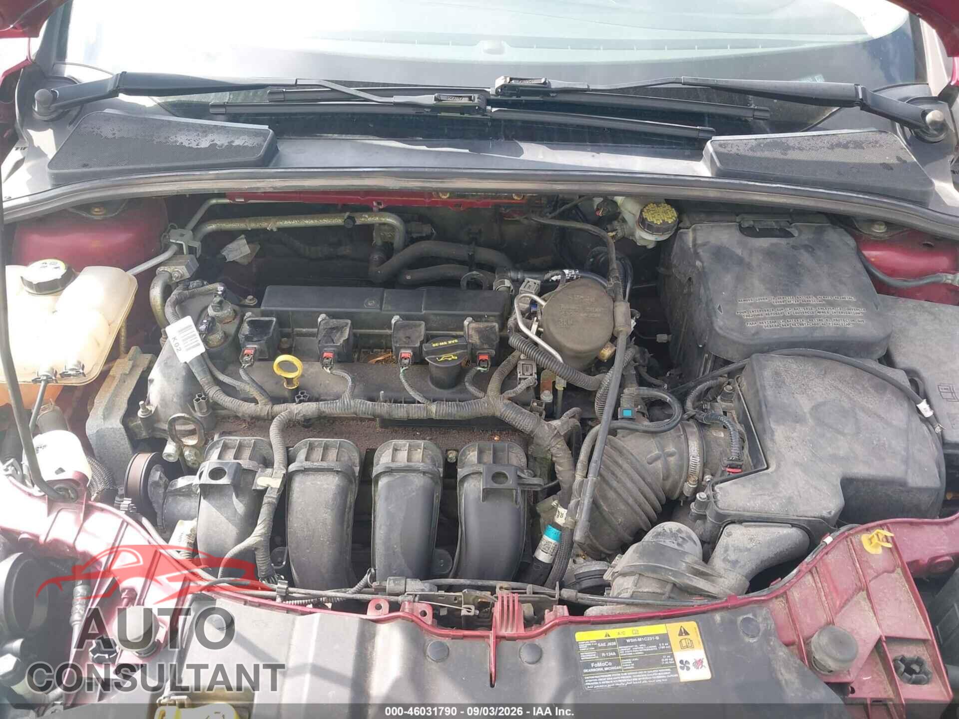 FORD FOCUS 2013 - 1FADP3F29DL156426