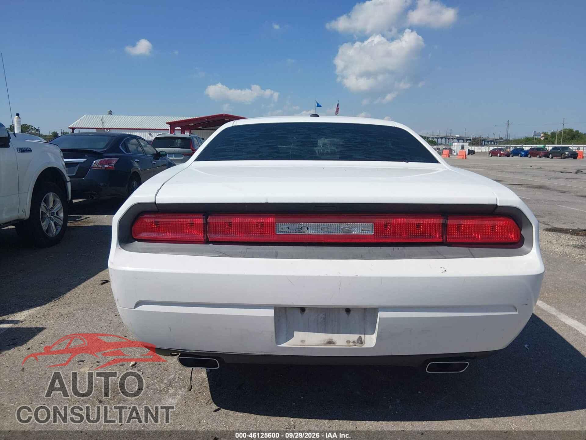 DODGE CHALLENGER 2013 - 2C3CDYAG7DH569512