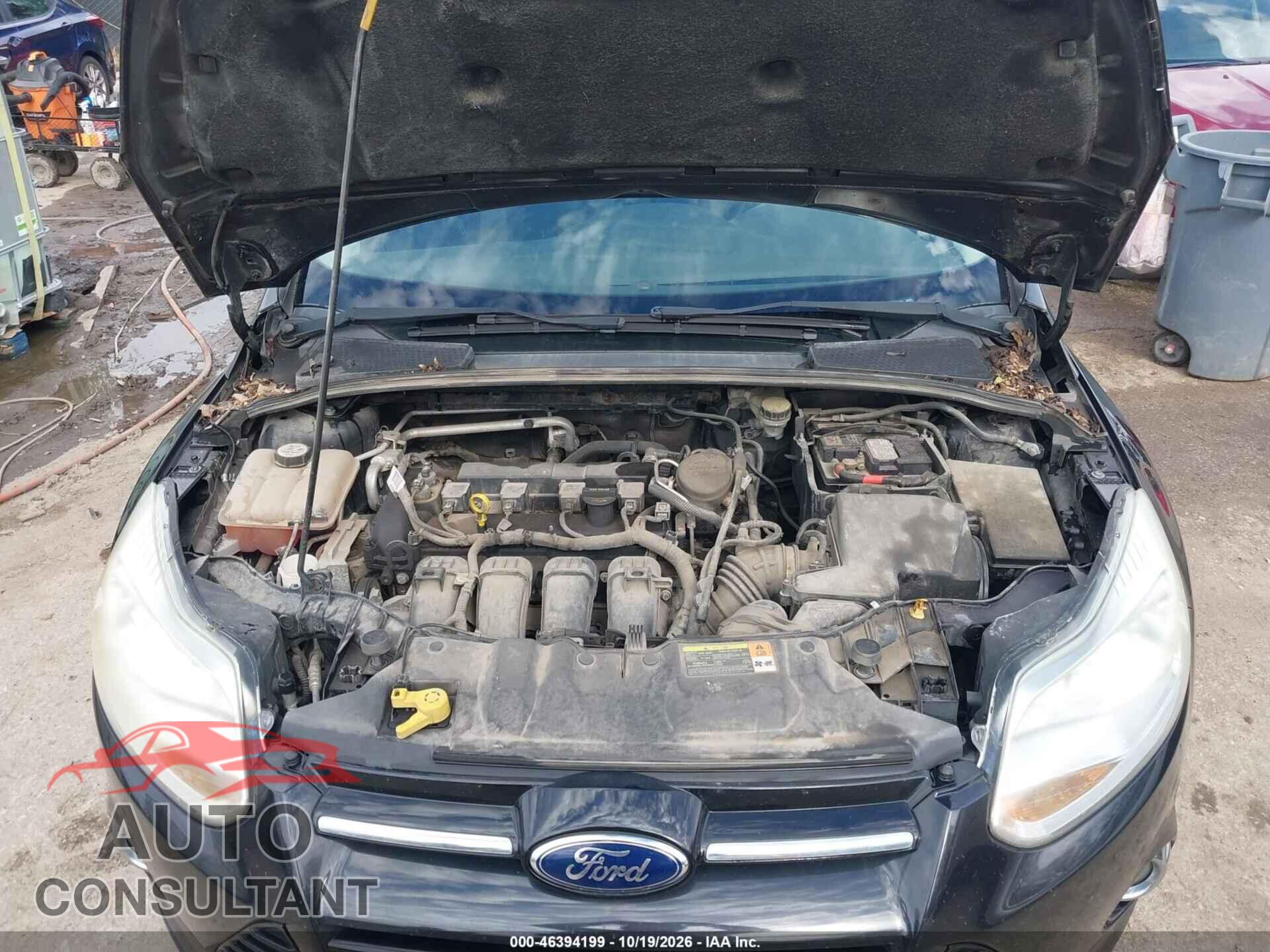 FORD FOCUS 2012 - 1FAHP3F22CL455028