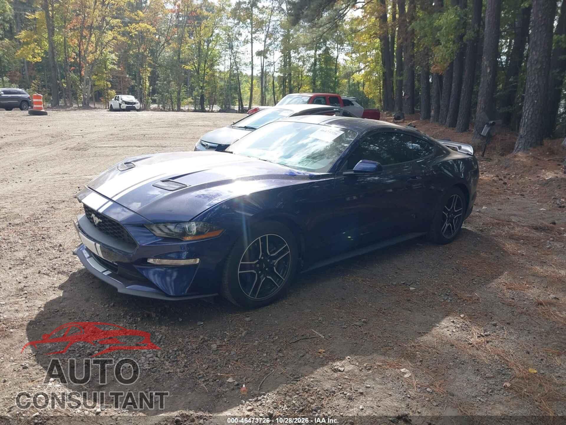 FORD MUSTANG 2019 - 1FA6P8TH5K5205105