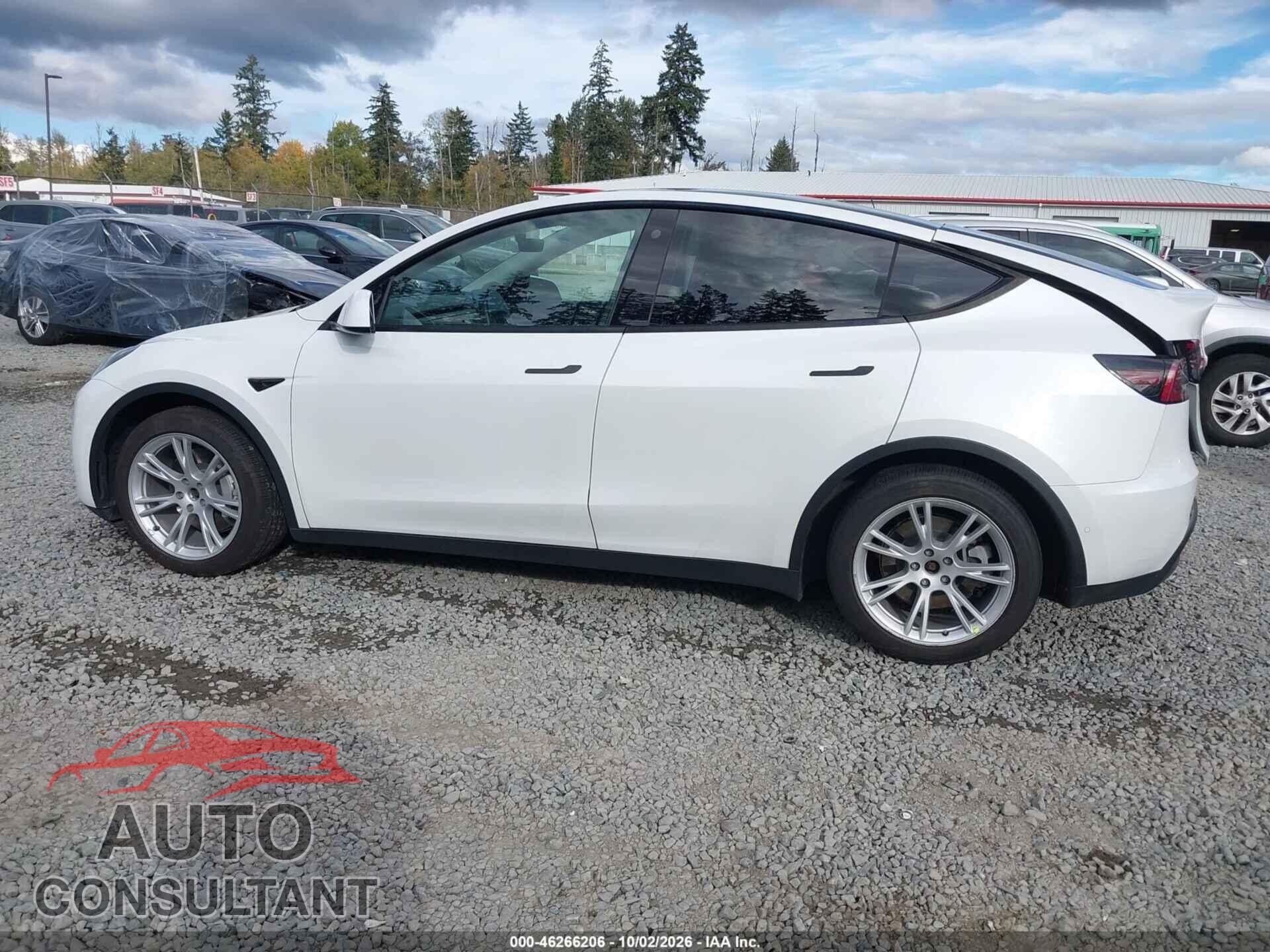 TESLA MODEL Y 2021 - 5YJYGDEE8MF204739
