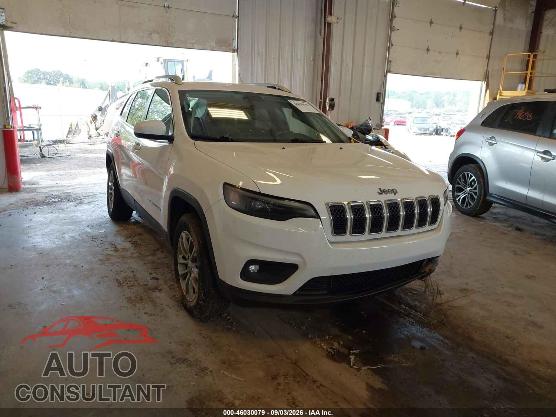 JEEP CHEROKEE 2019 - 1C4PJMLB9KD182549