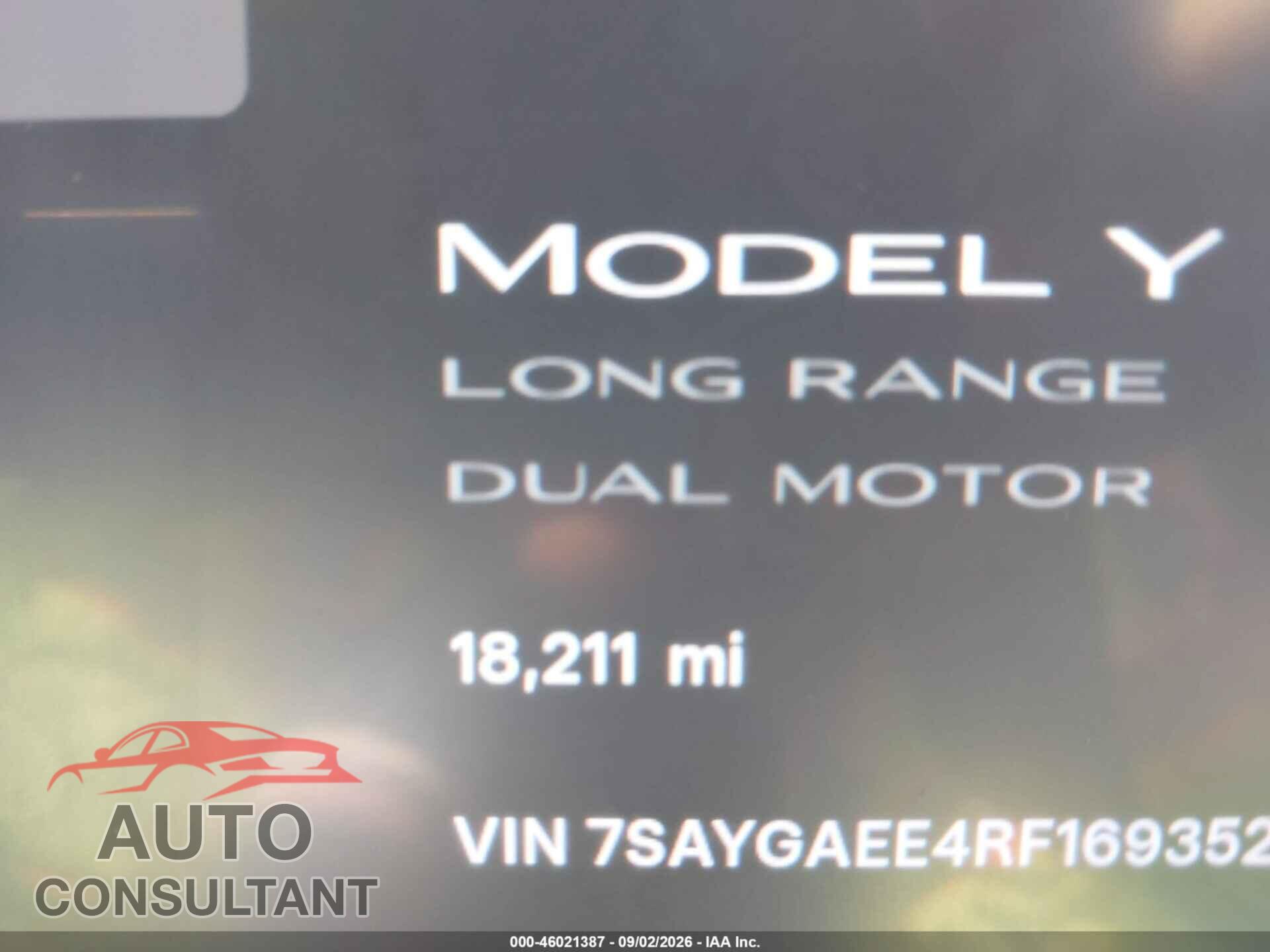 TESLA MODEL Y 2024 - 7SAYGAEE4RF169352
