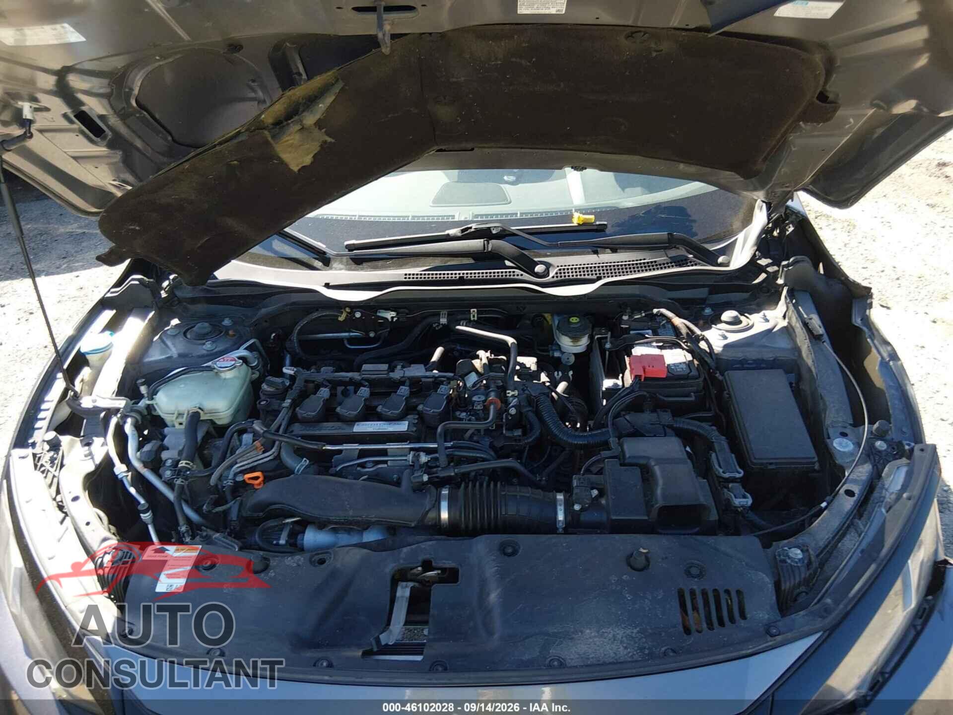 HONDA CIVIC 2019 - 2HGFC3B38KH352477