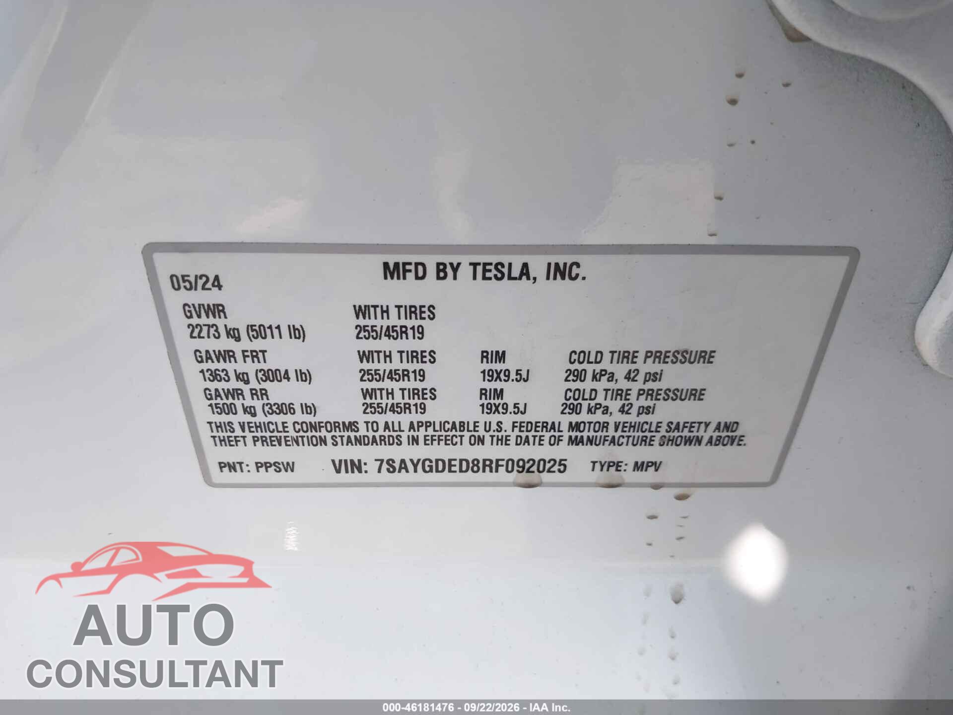 TESLA MODEL Y 2024 - 7SAYGDED8RF092025