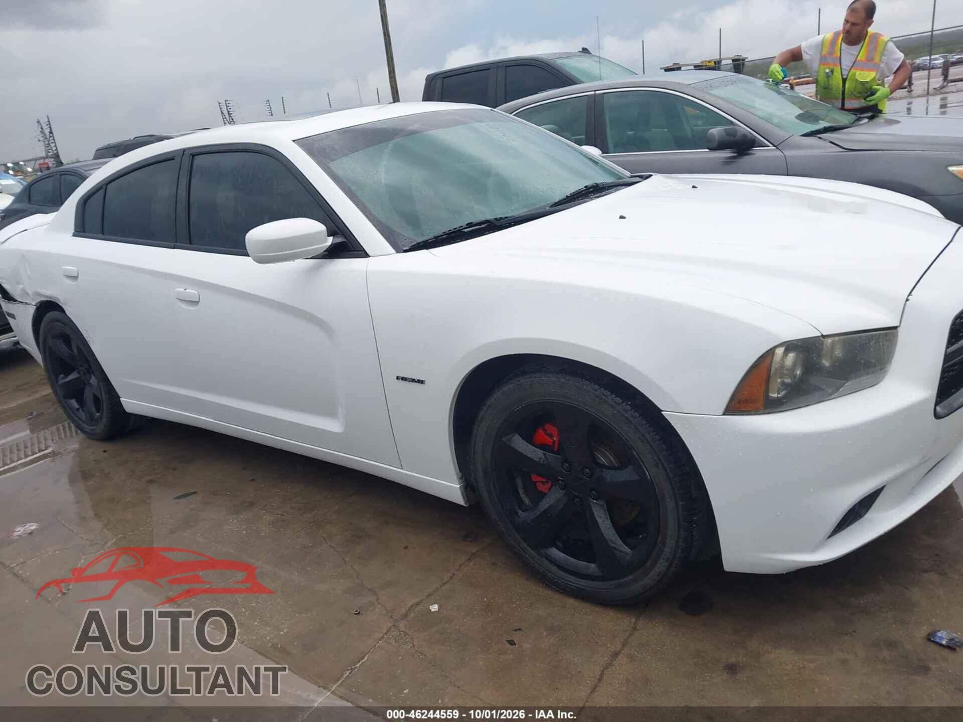 DODGE CHARGER 2013 - 2C3CDXCTXDH696050