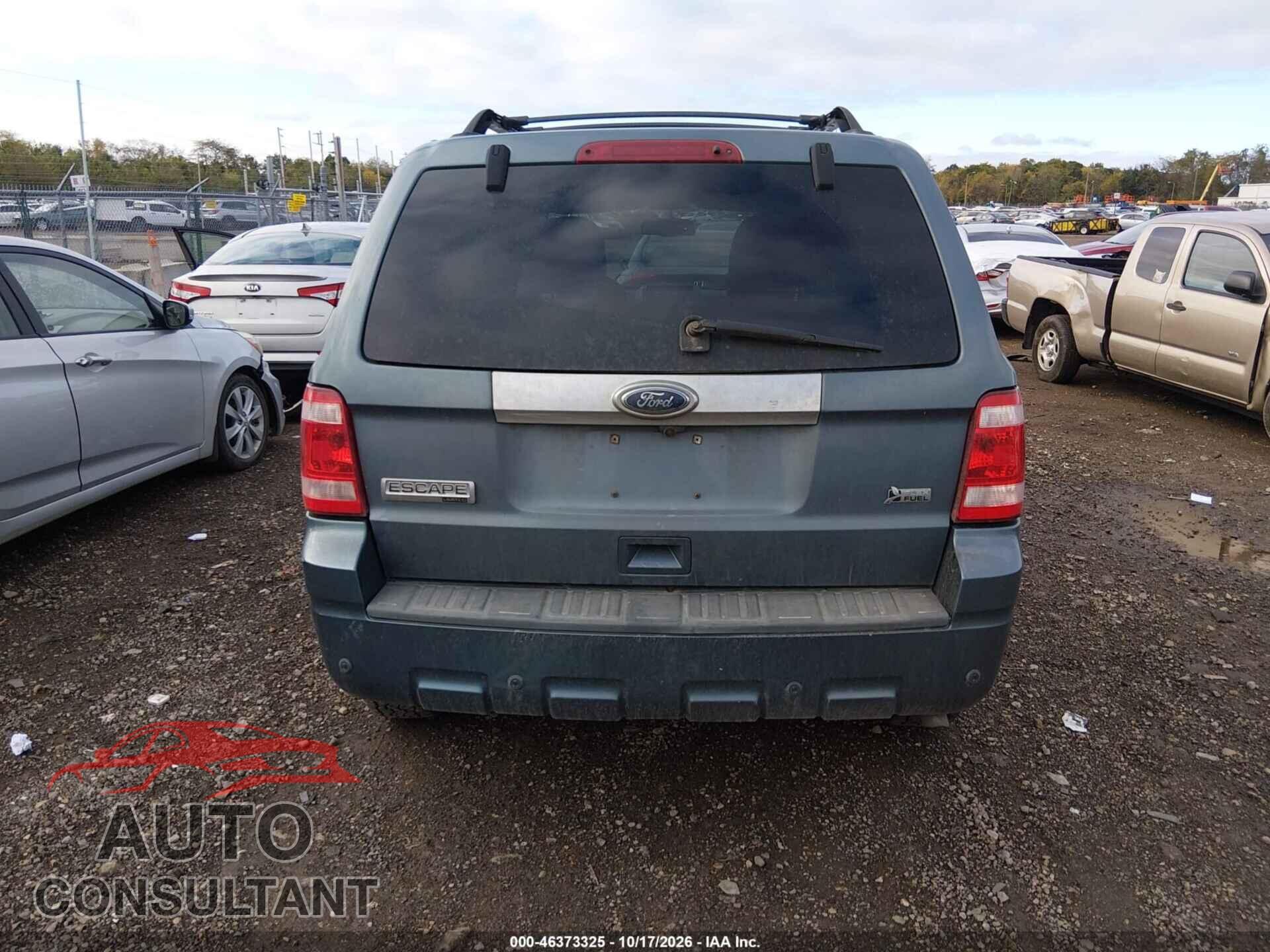 FORD ESCAPE 2011 - 1FMCU9EG2BKA52129