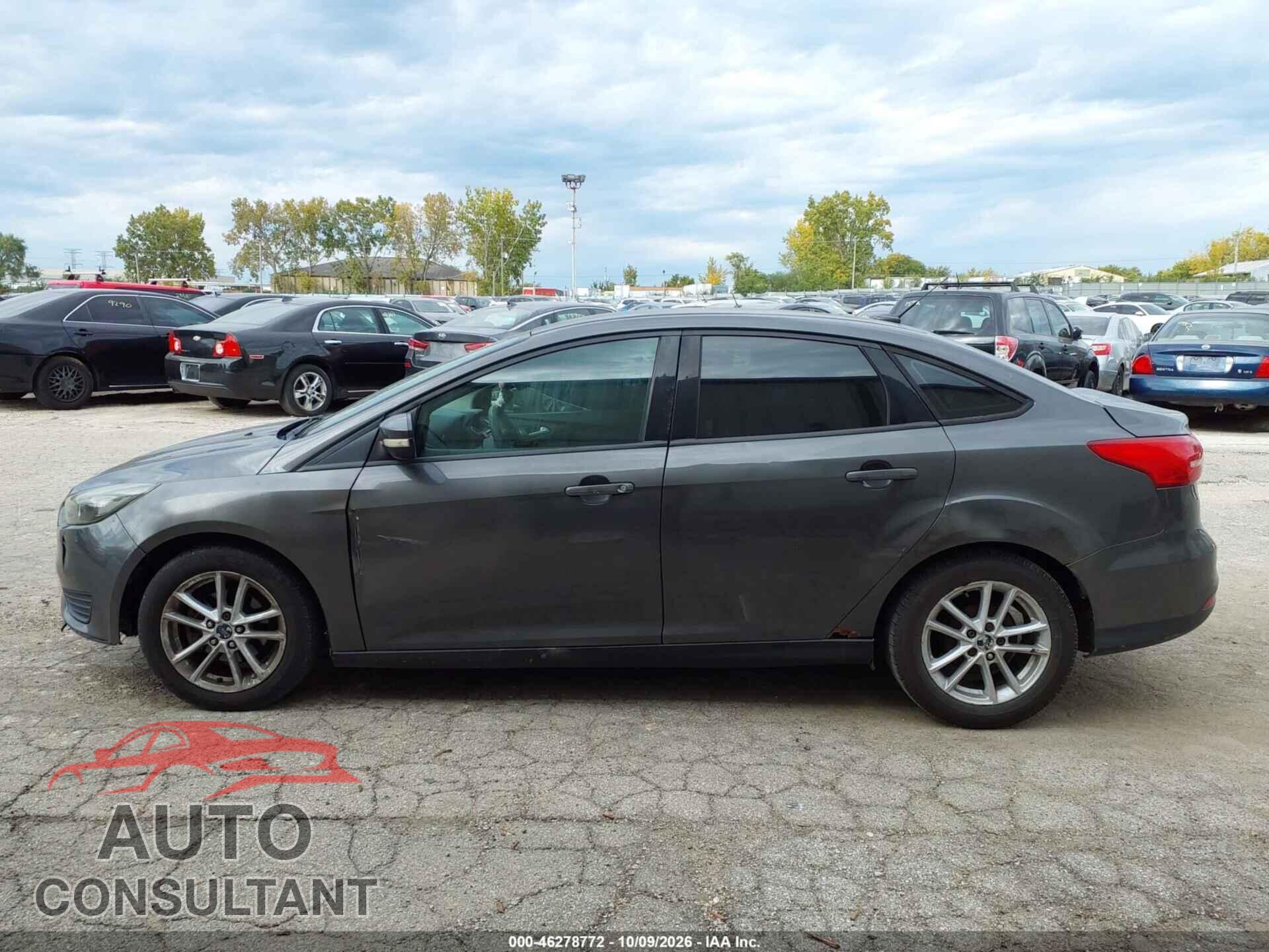 FORD FOCUS 2016 - 1FADP3F24GL293696