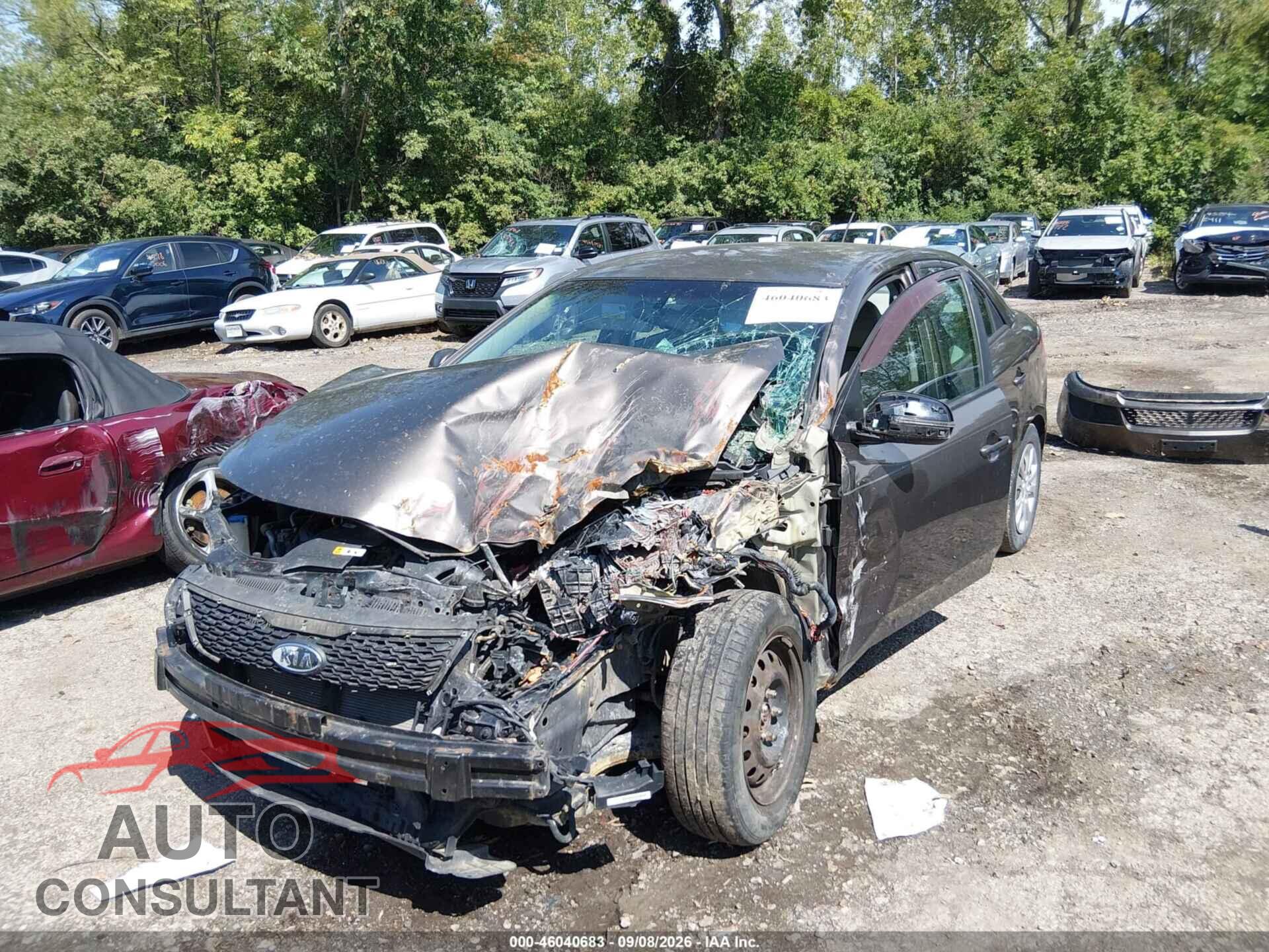 KIA FORTE 2013 - KNAFU4A2XD5722426
