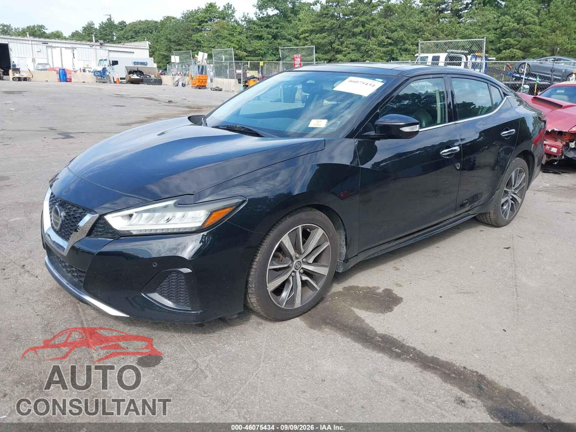NISSAN MAXIMA 2019 - 1N4AA6AV4KC374939