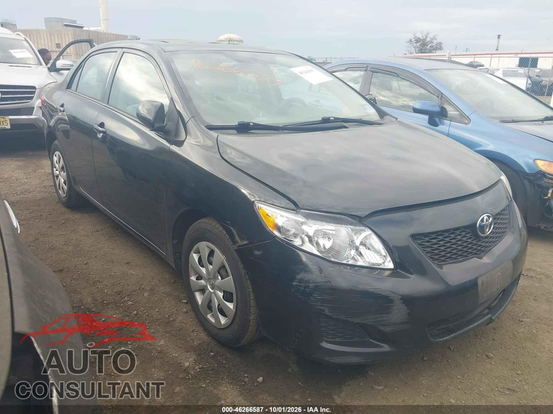 TOYOTA COROLLA 2010 - 2T1BU4EE3AC230793