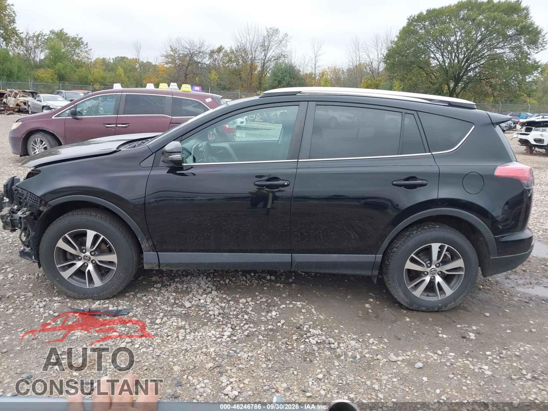 TOYOTA RAV4 2016 - 2T3WFREV5GW308675