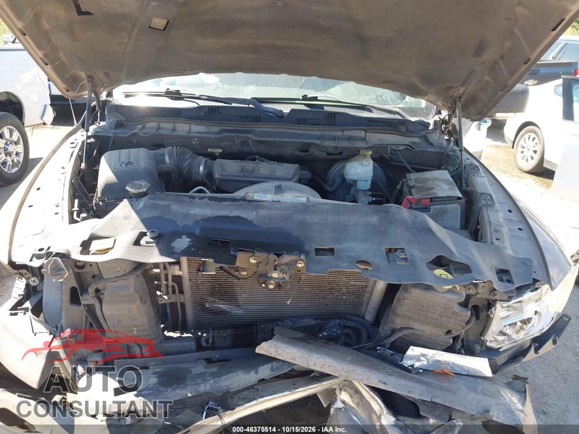 DODGE RAM 1500 2010 - 1D7RB1GP3AS214034