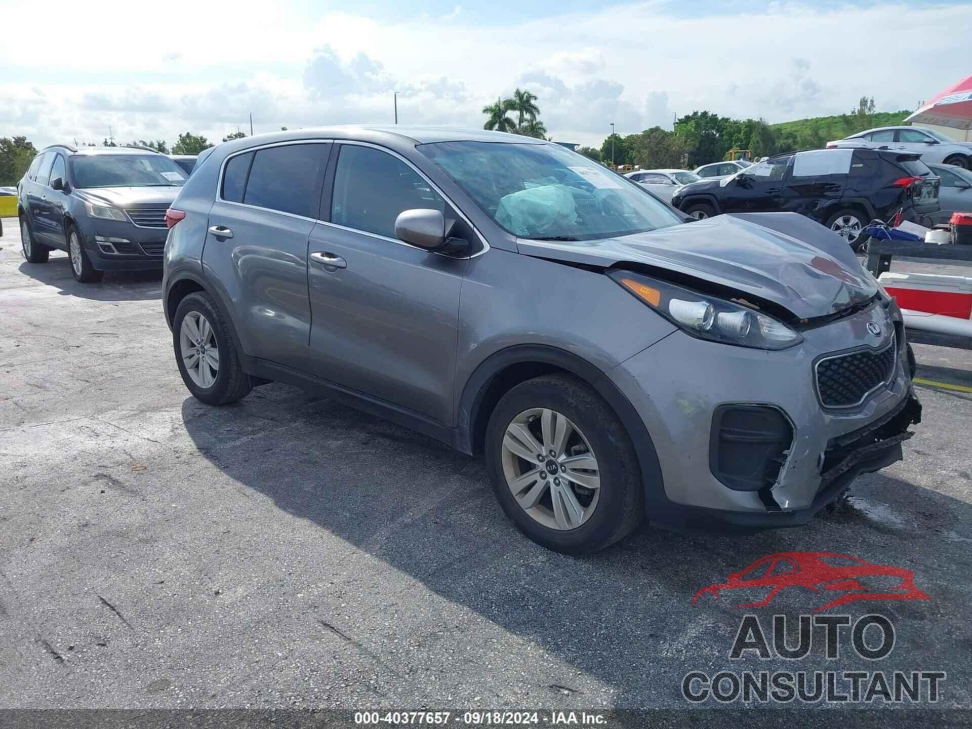 KIA SPORTAGE 2019 - KNDPM3AC3K7548792