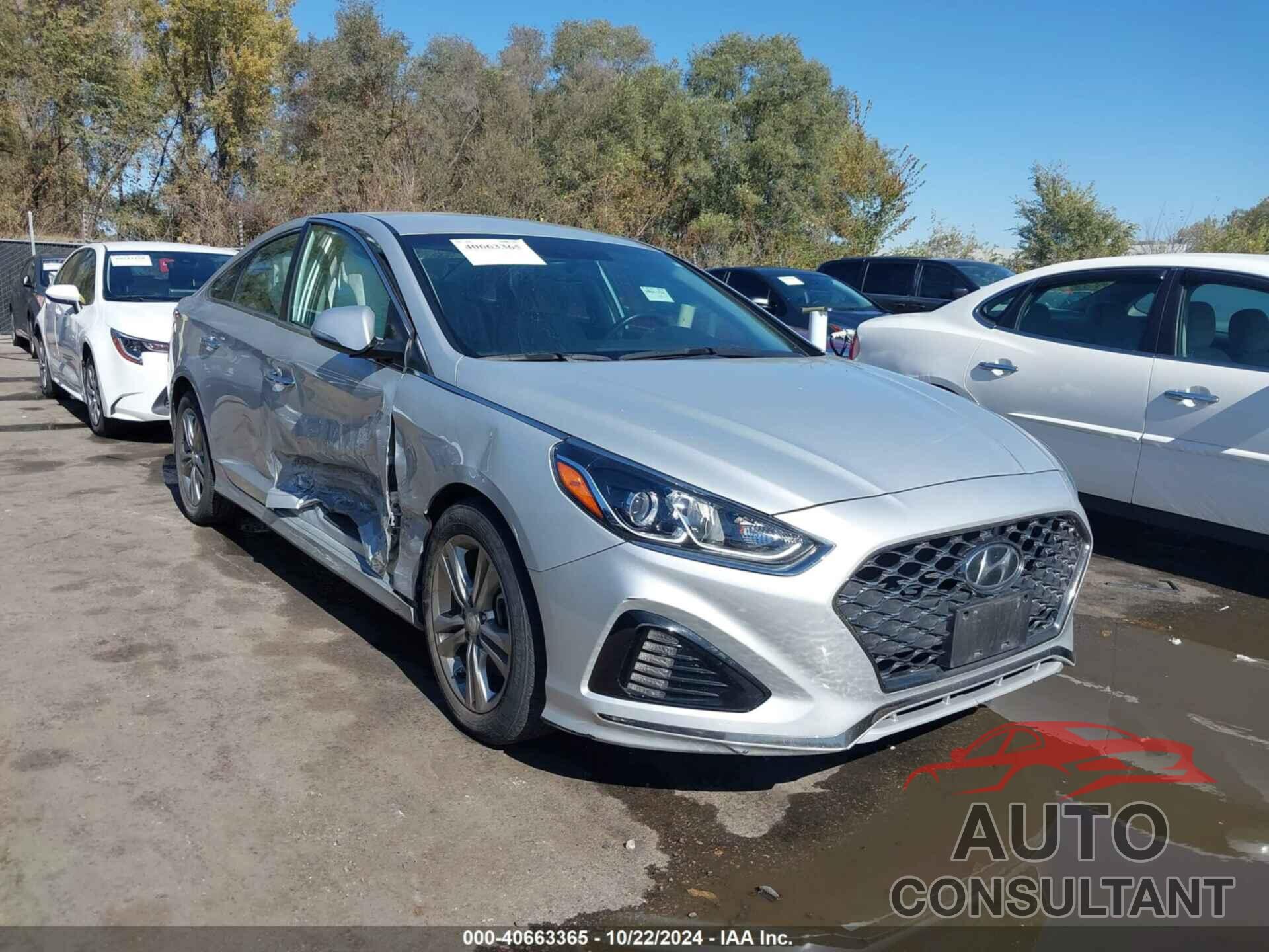 HYUNDAI SONATA 2019 - 5NPE34AF6KH783676