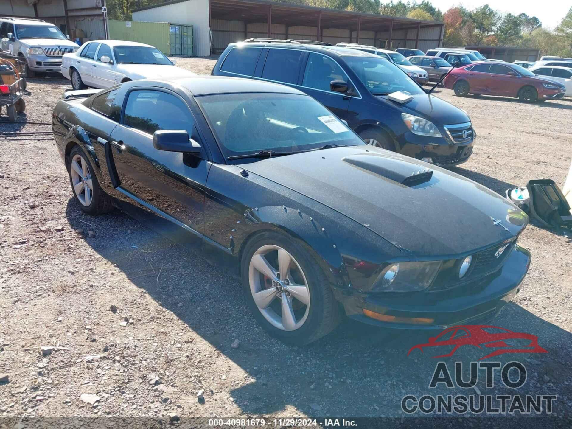 FORD MUSTANG 2009 - 1ZVHT82H795124470