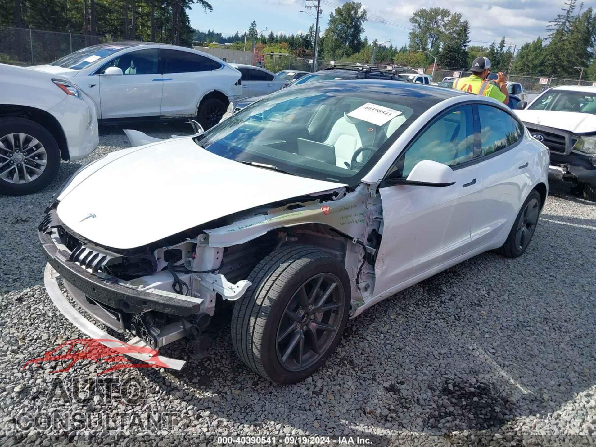 TESLA MODEL 3 2023 - 5YJ3E1EA6PF566665