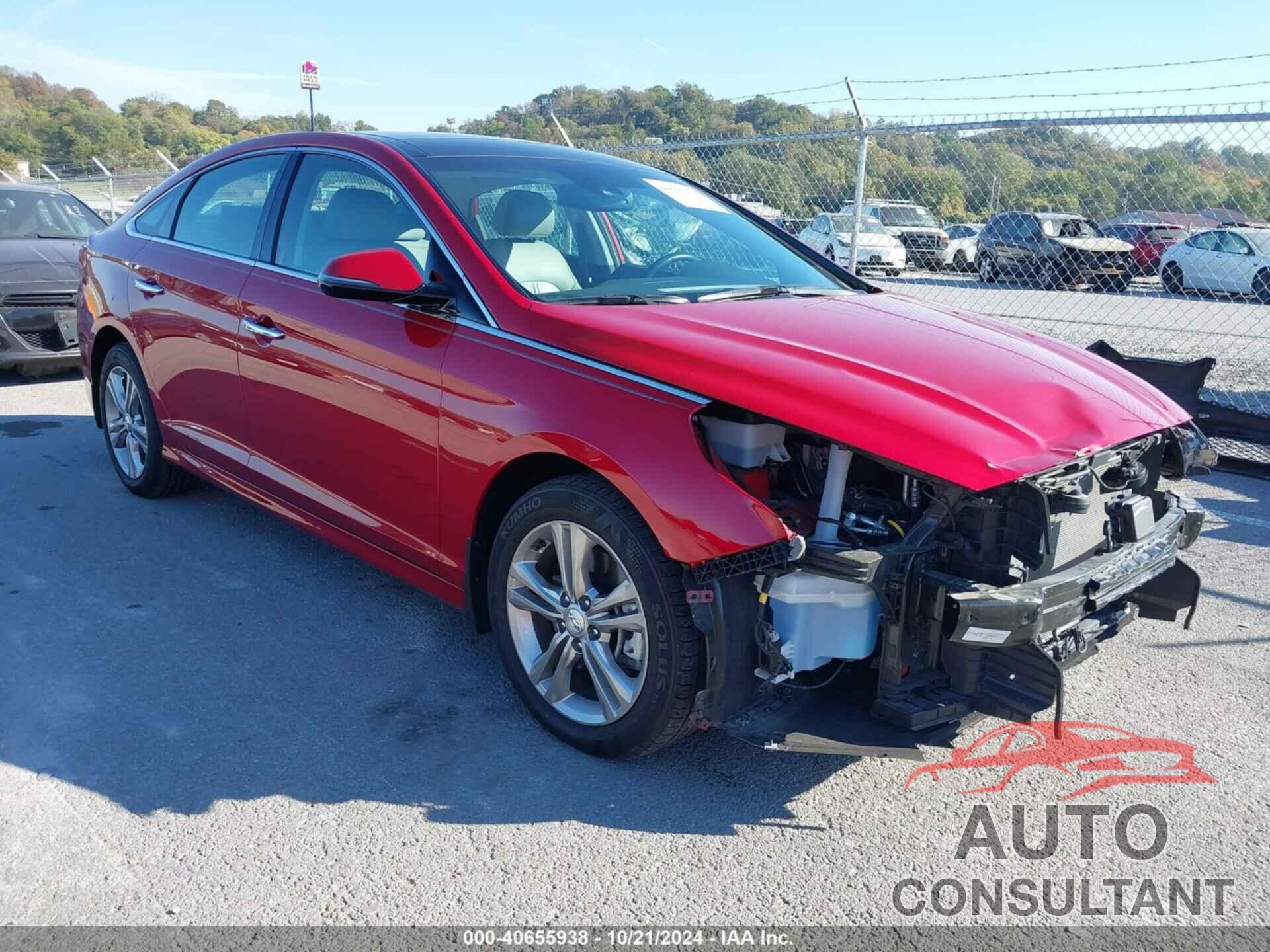 HYUNDAI SONATA 2019 - 5NPE34AF0KH812301