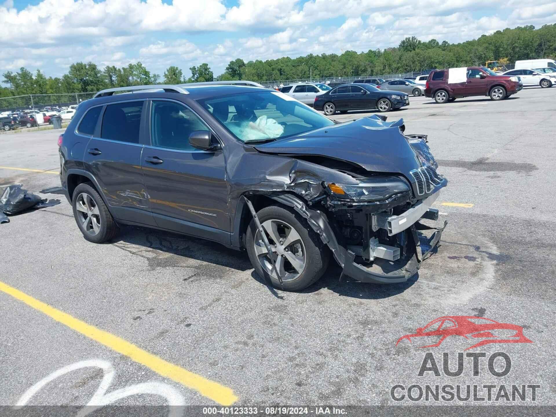 JEEP CHEROKEE 2019 - 1C4PJLDBXKD360364