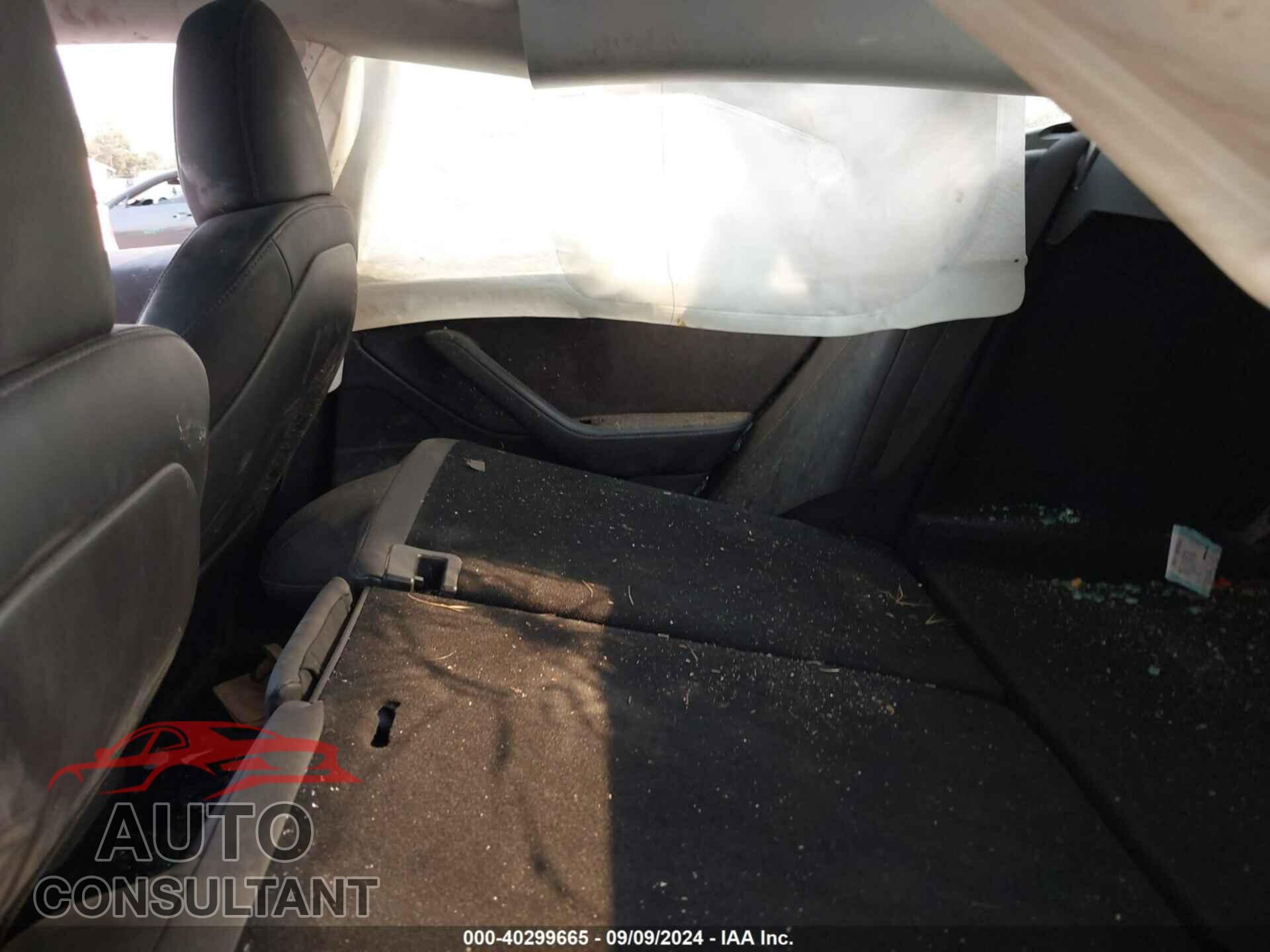 TESLA MODEL 3 2019 - 5YJ3E1EA4KF396427