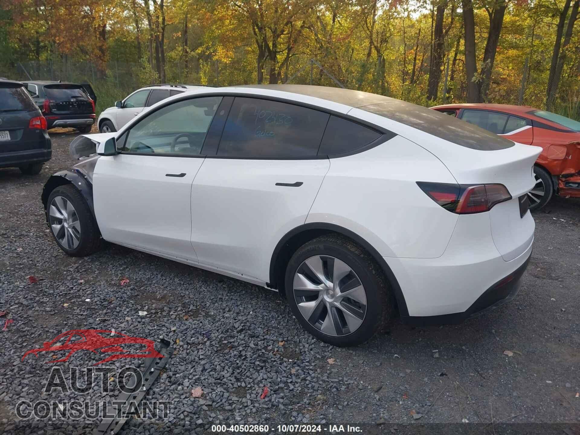 TESLA MODEL Y 2024 - 7SAYGAEE8RF092274