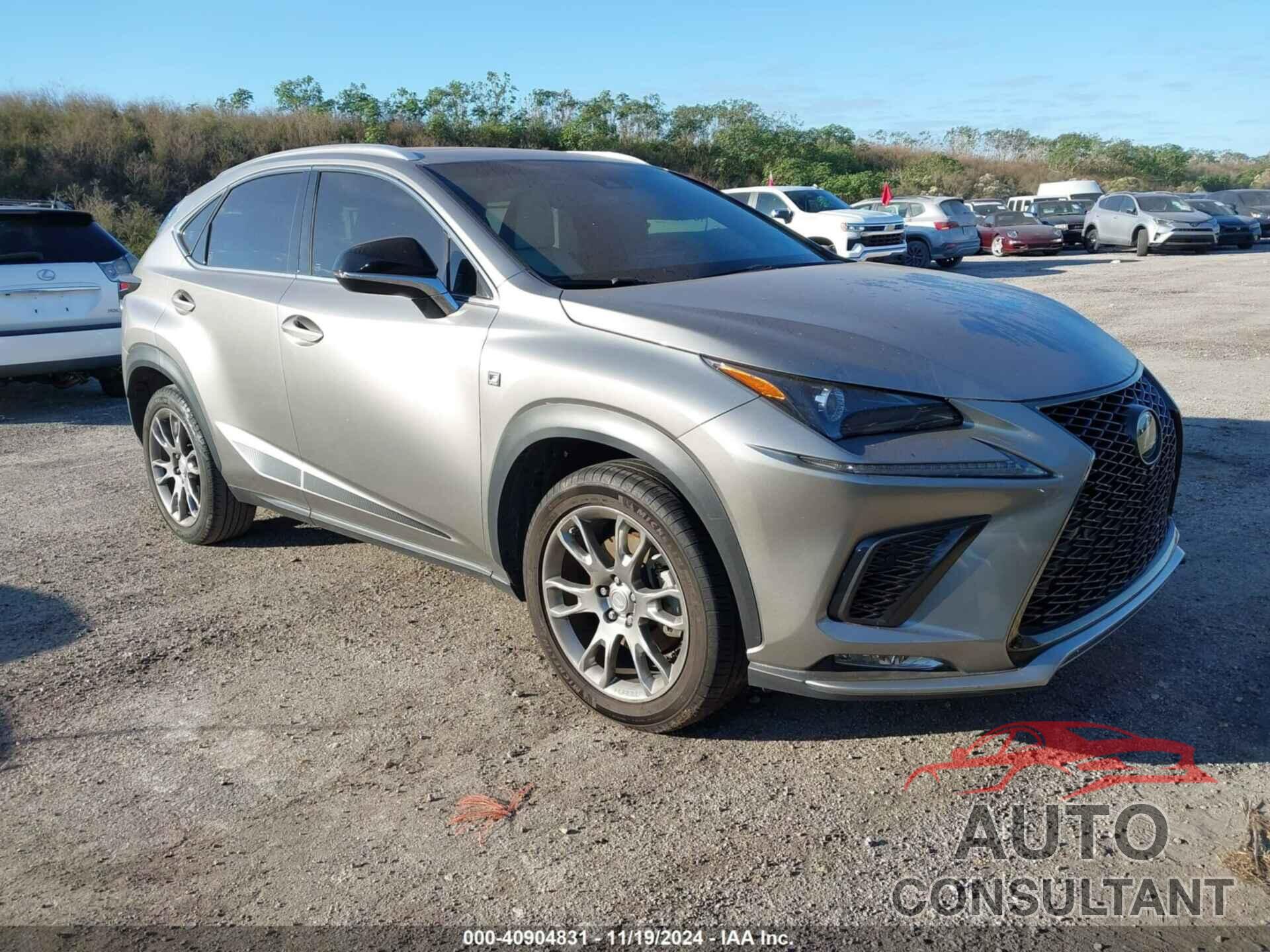 LEXUS NX 2019 - JTJYARBZ3K2146168