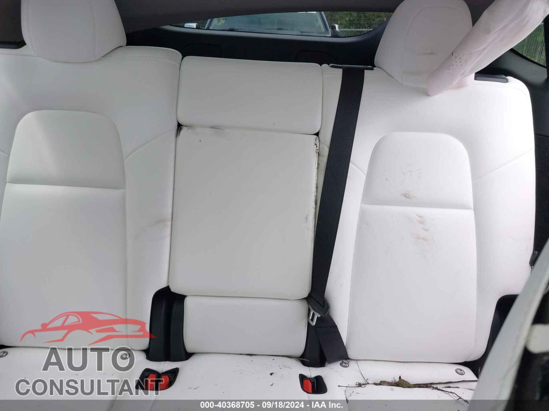 TESLA MODEL Y 2024 - 7SAYGDED2RF023959