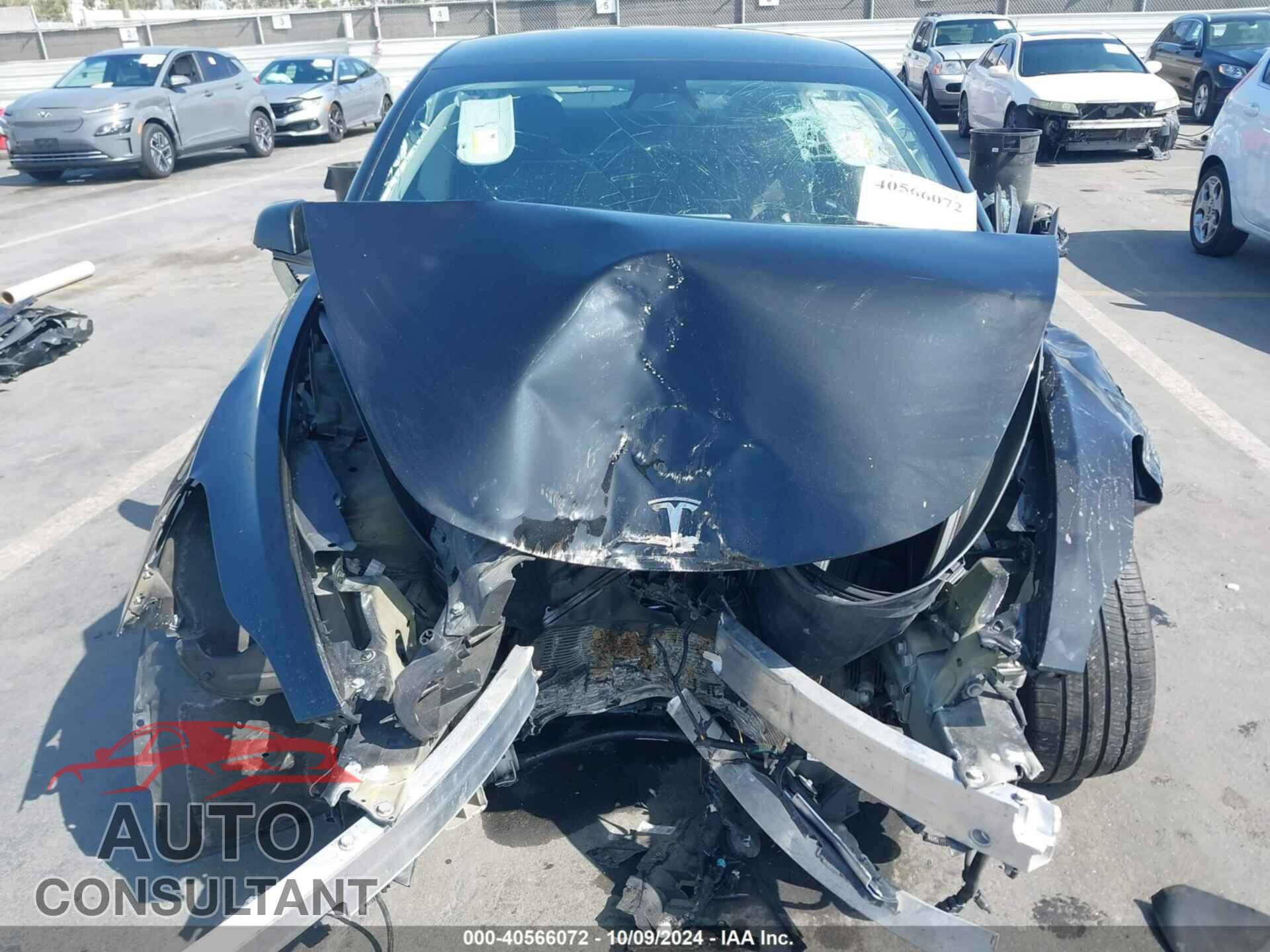 TESLA MODEL 3 2021 - 5YJ3E1EBXMF065511