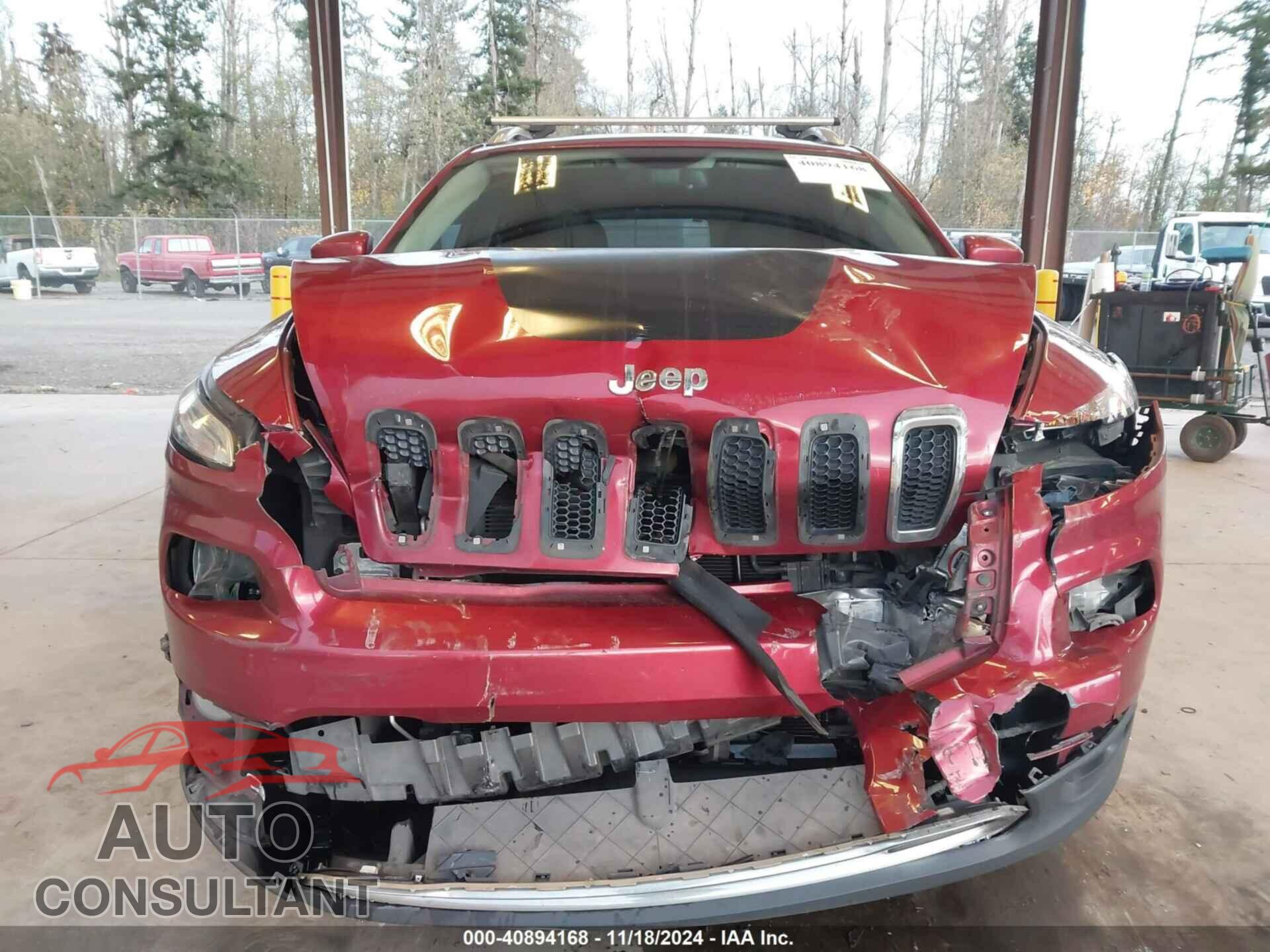 JEEP CHEROKEE 2017 - 1C4PJLDBXHW517629