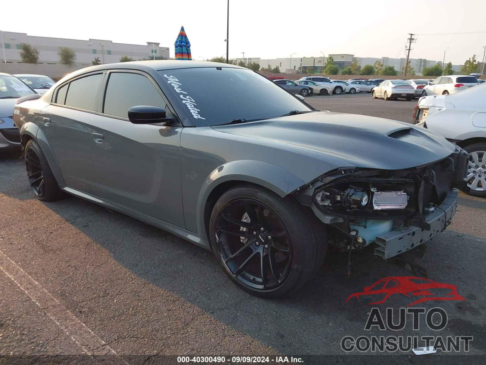 DODGE CHARGER 2019 - 2C3CDXCT1KH599638