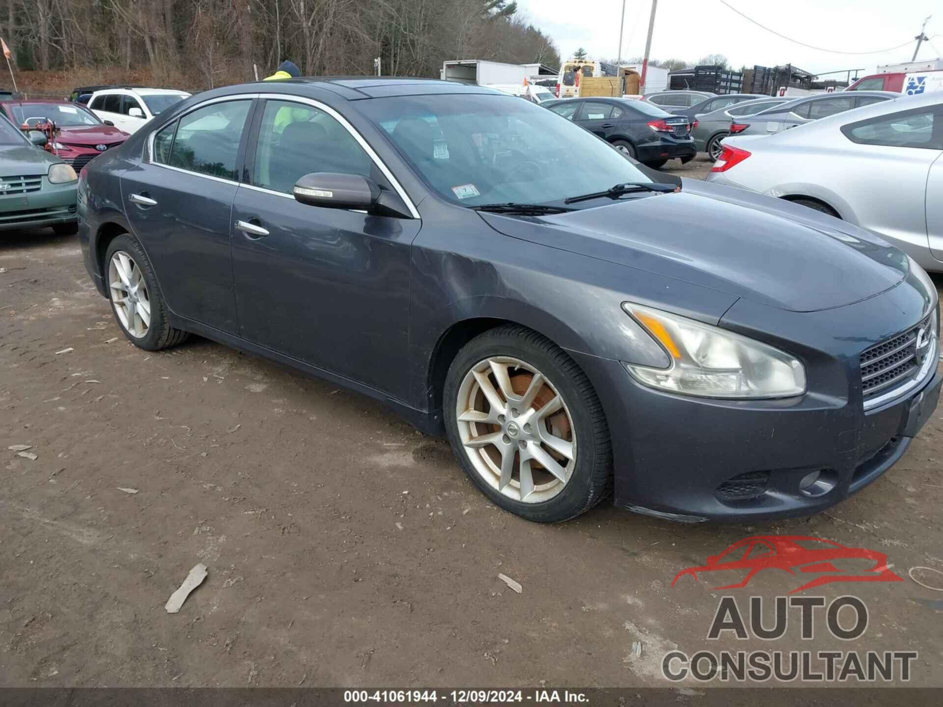 NISSAN MAXIMA 2011 - 1N4AA5AP5BC814341