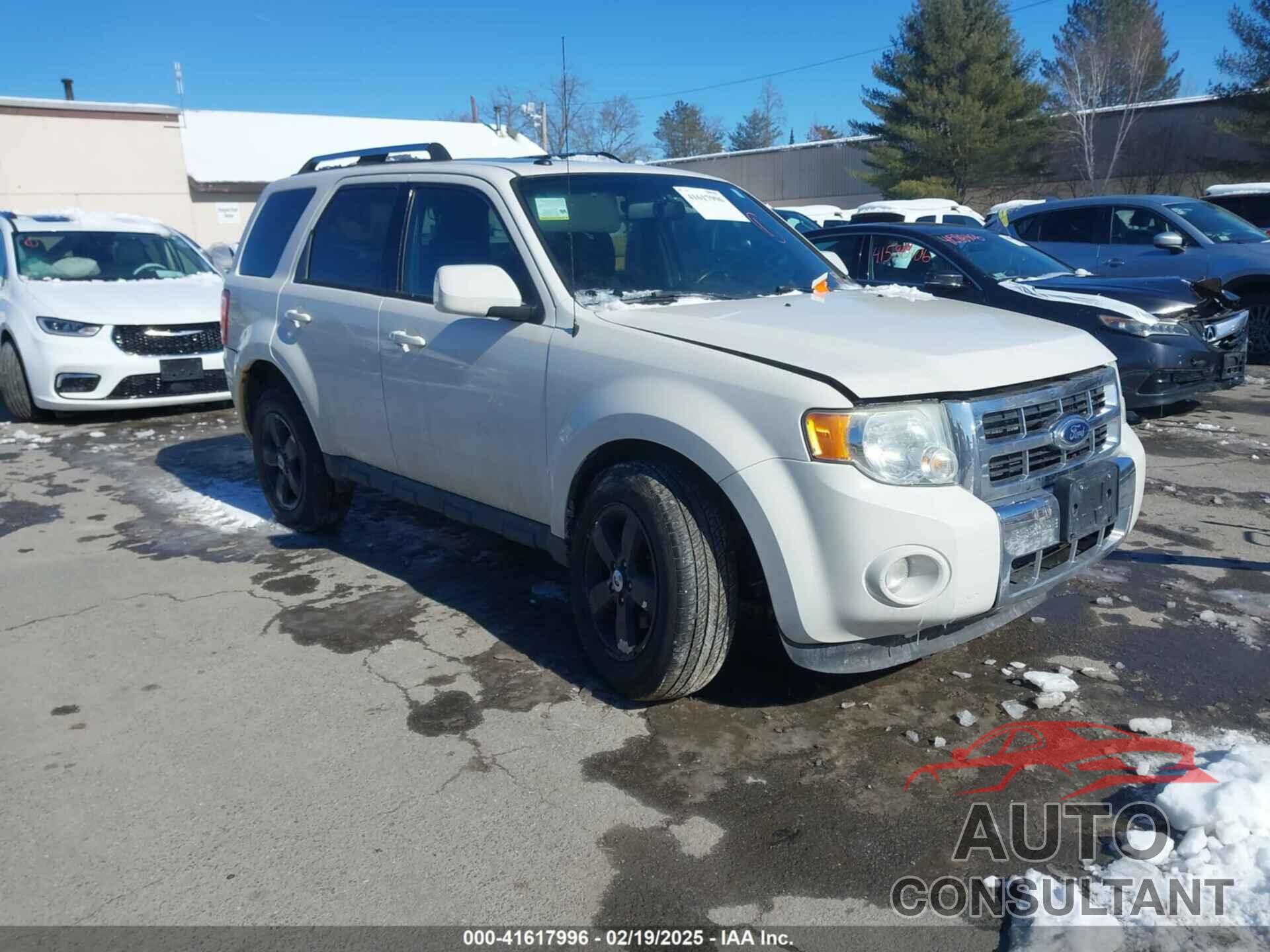 FORD ESCAPE 2011 - 1FMCU9EG4BKB41300