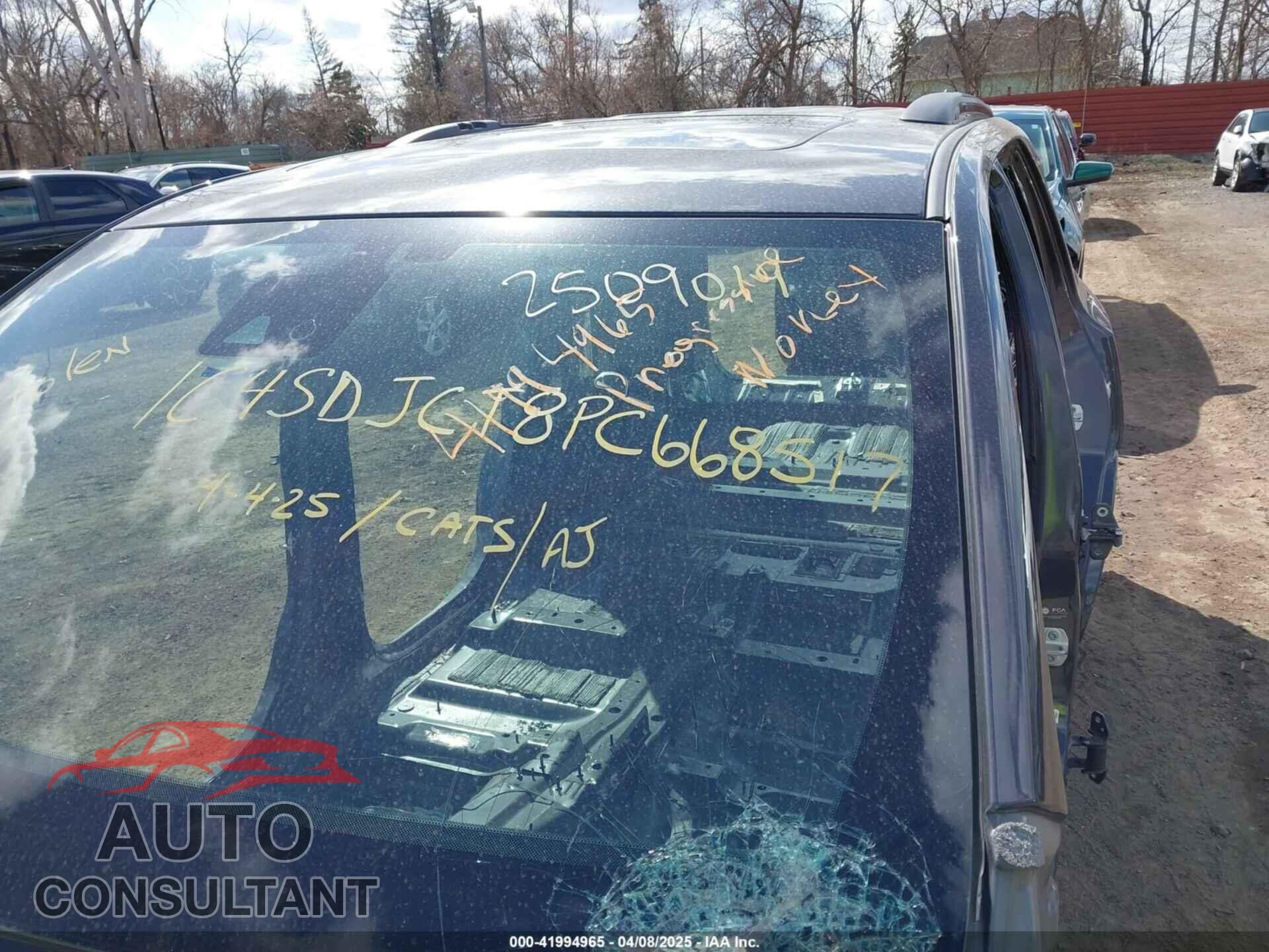 DODGE DURANGO 2023 - 1C4SDJCT8PC668517