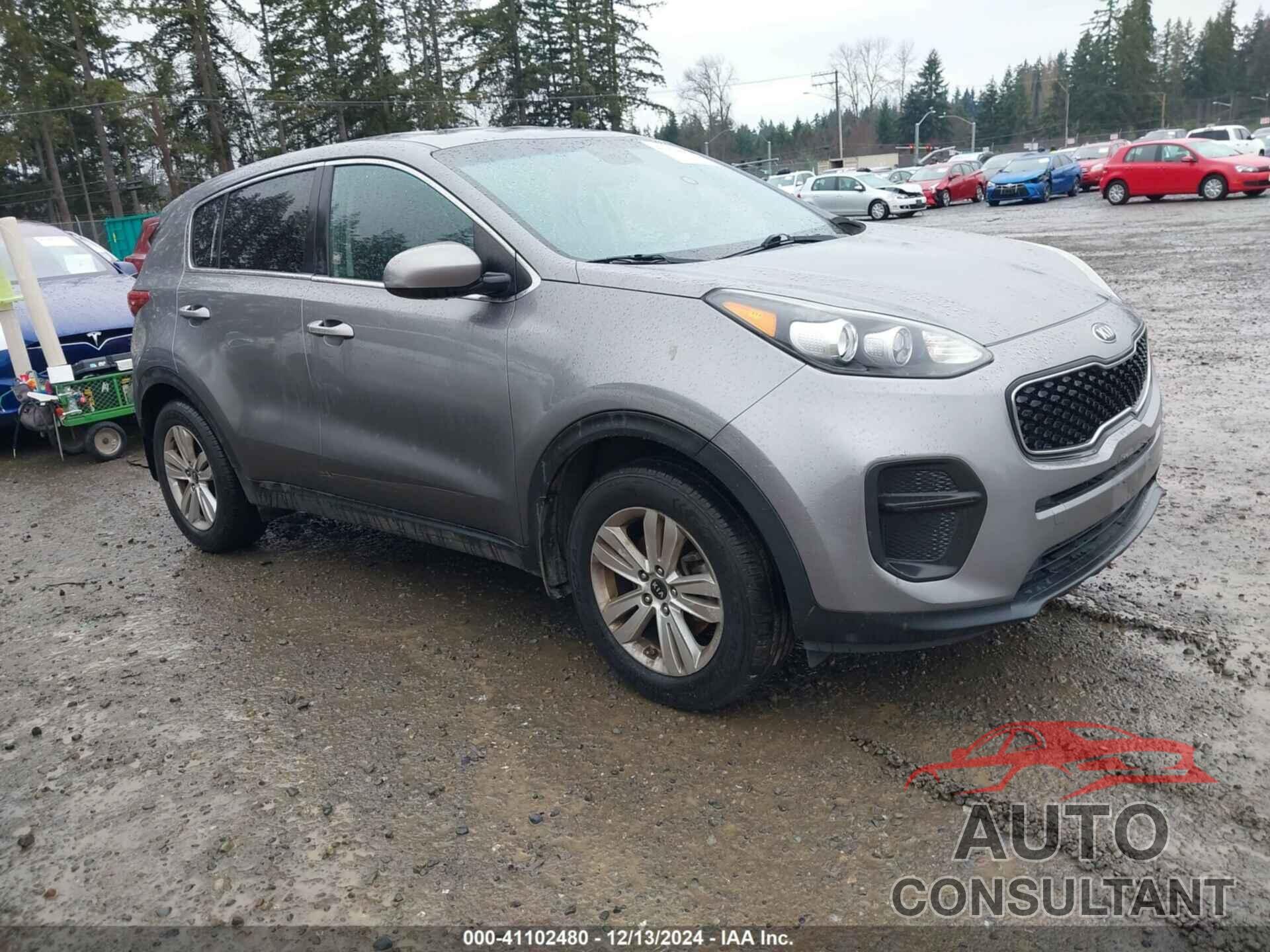 KIA SPORTAGE 2017 - KNDPM3AC7H7154012