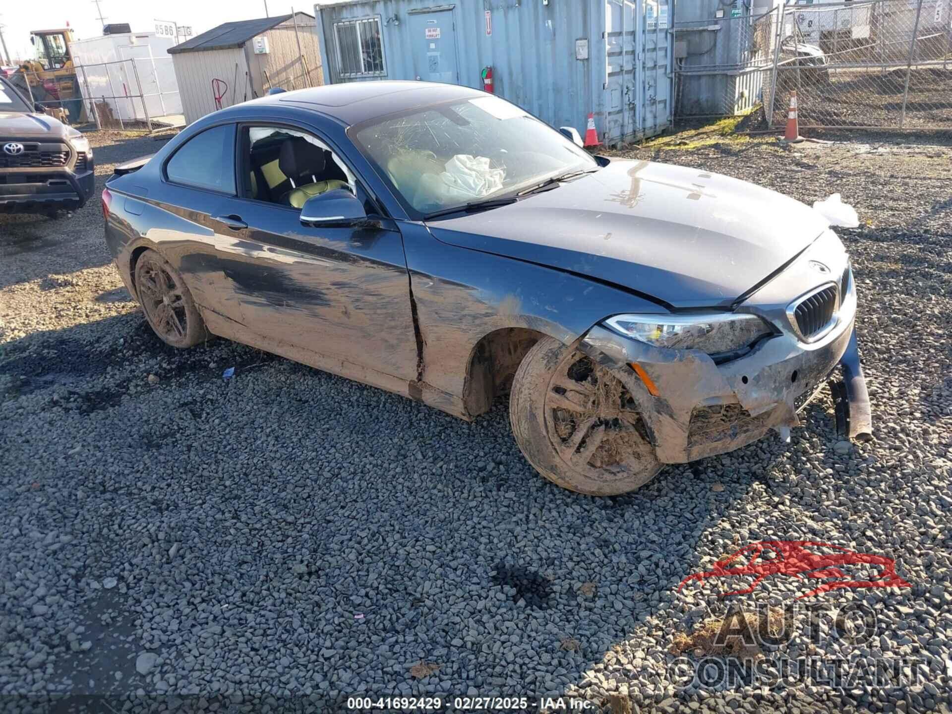 BMW 228I 2016 - WBA1F9C52GV545125