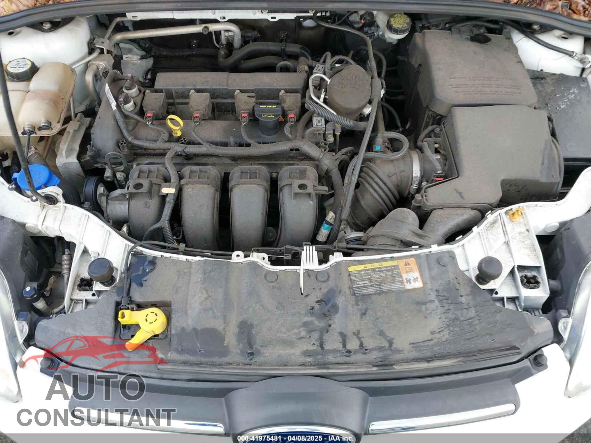 FORD FOCUS 2013 - 1FADP3F2XDL240898