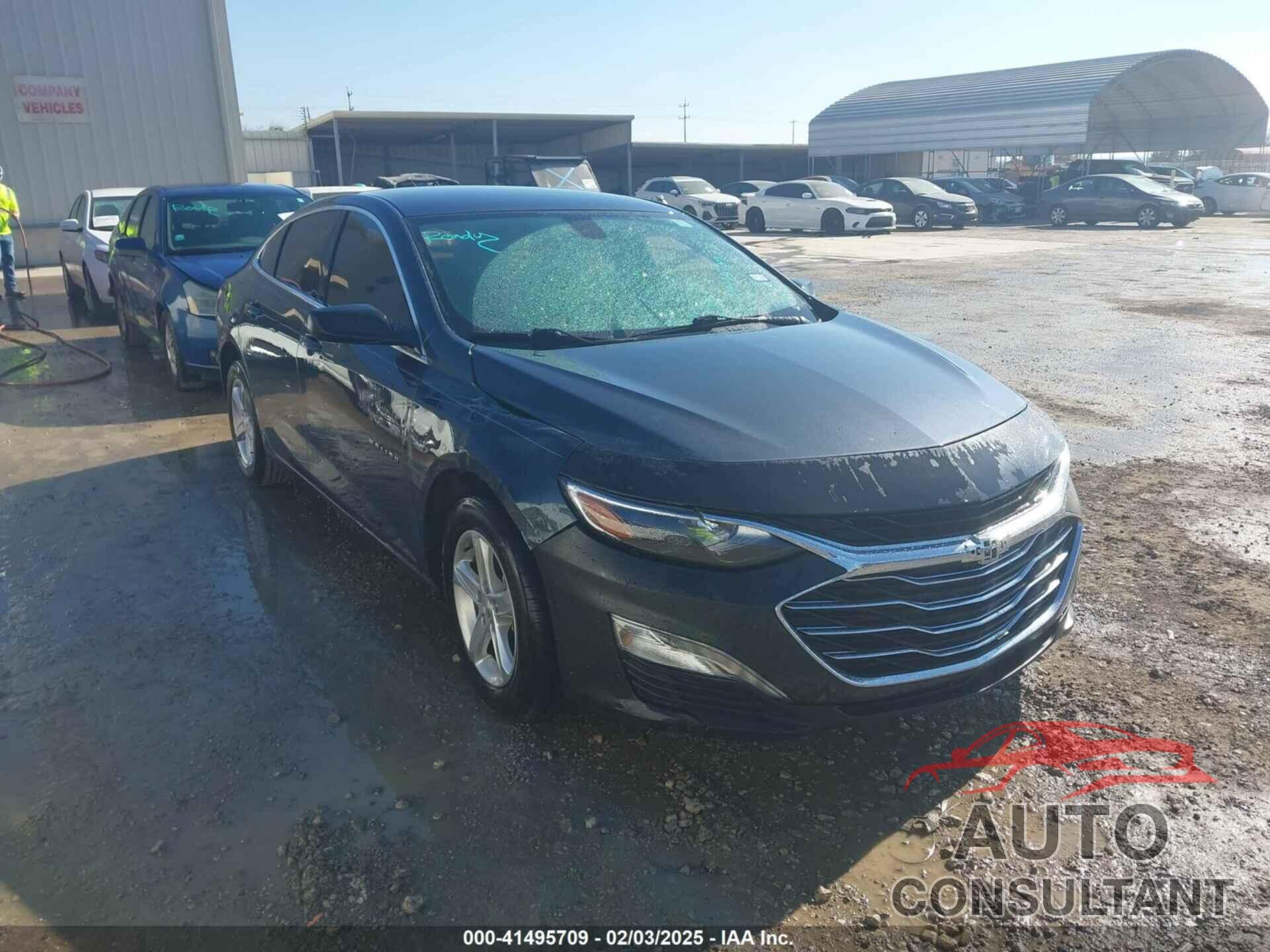 CHEVROLET MALIBU 2019 - 1G1ZB5STXKF119530