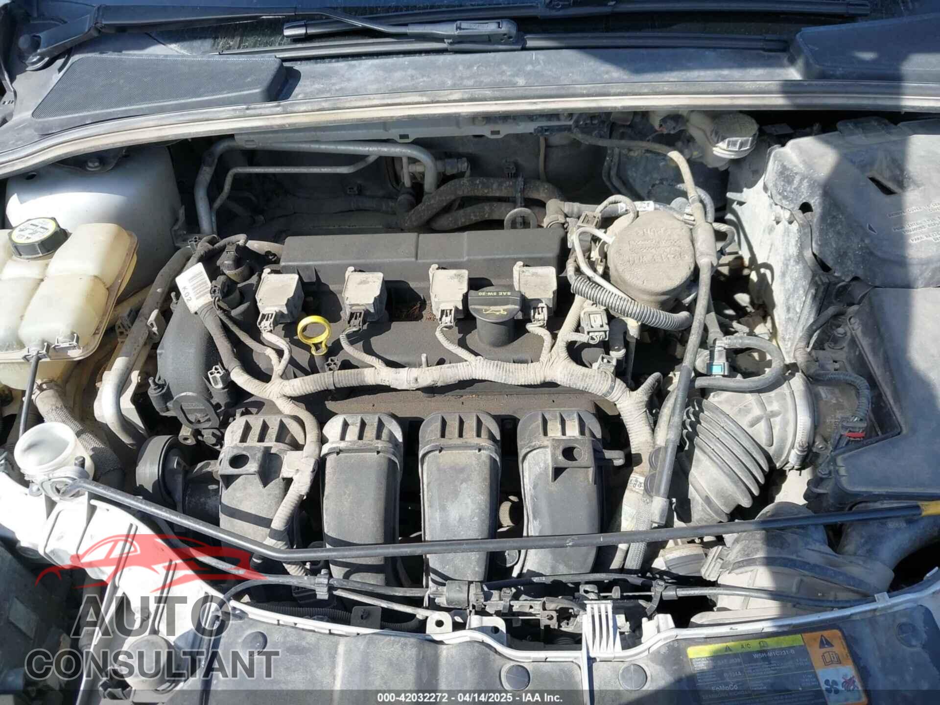 FORD FOCUS 2012 - 1FAHP3F24CL178236