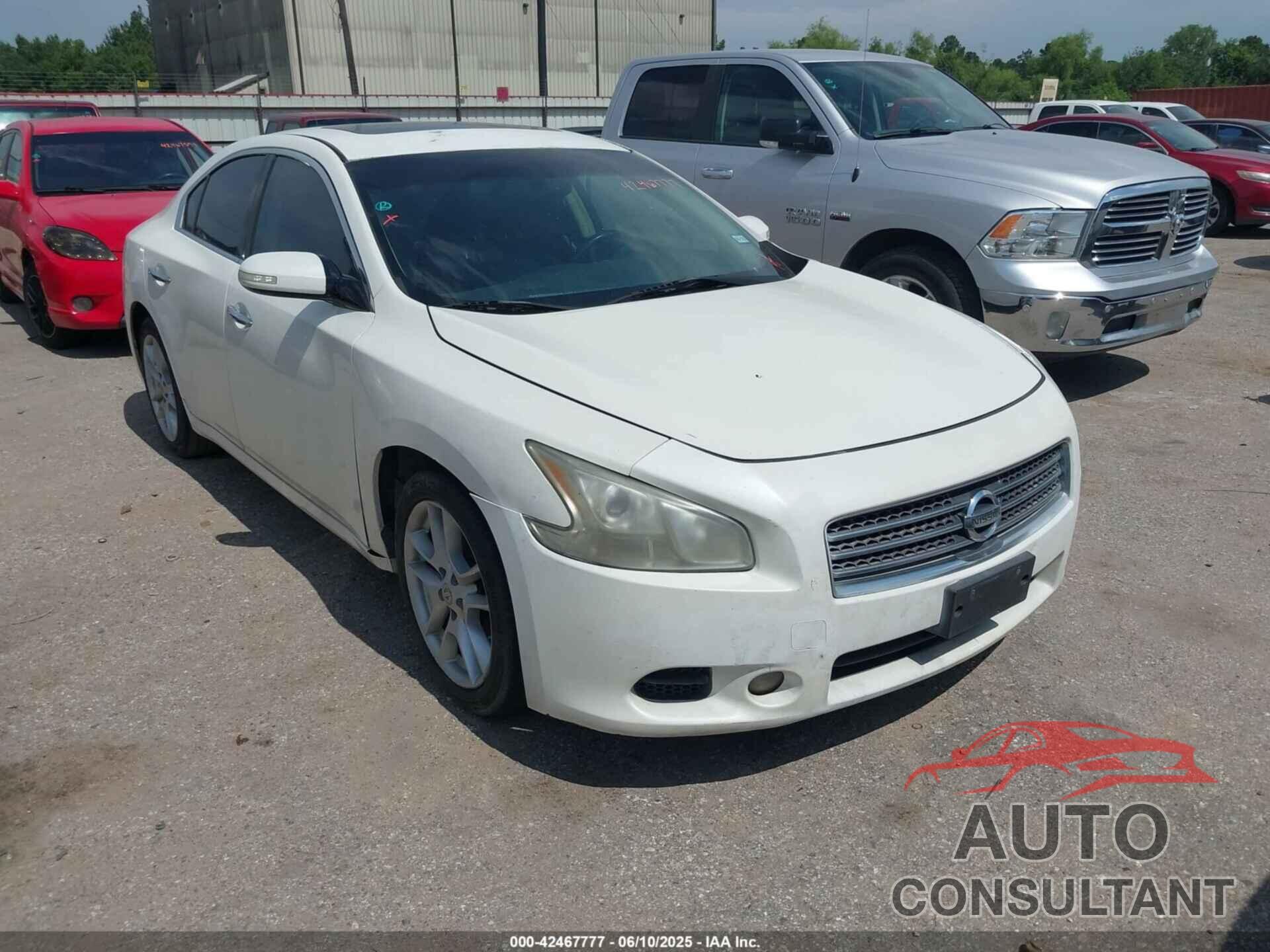 NISSAN MAXIMA 2009 - 1N4AA51E99C856293